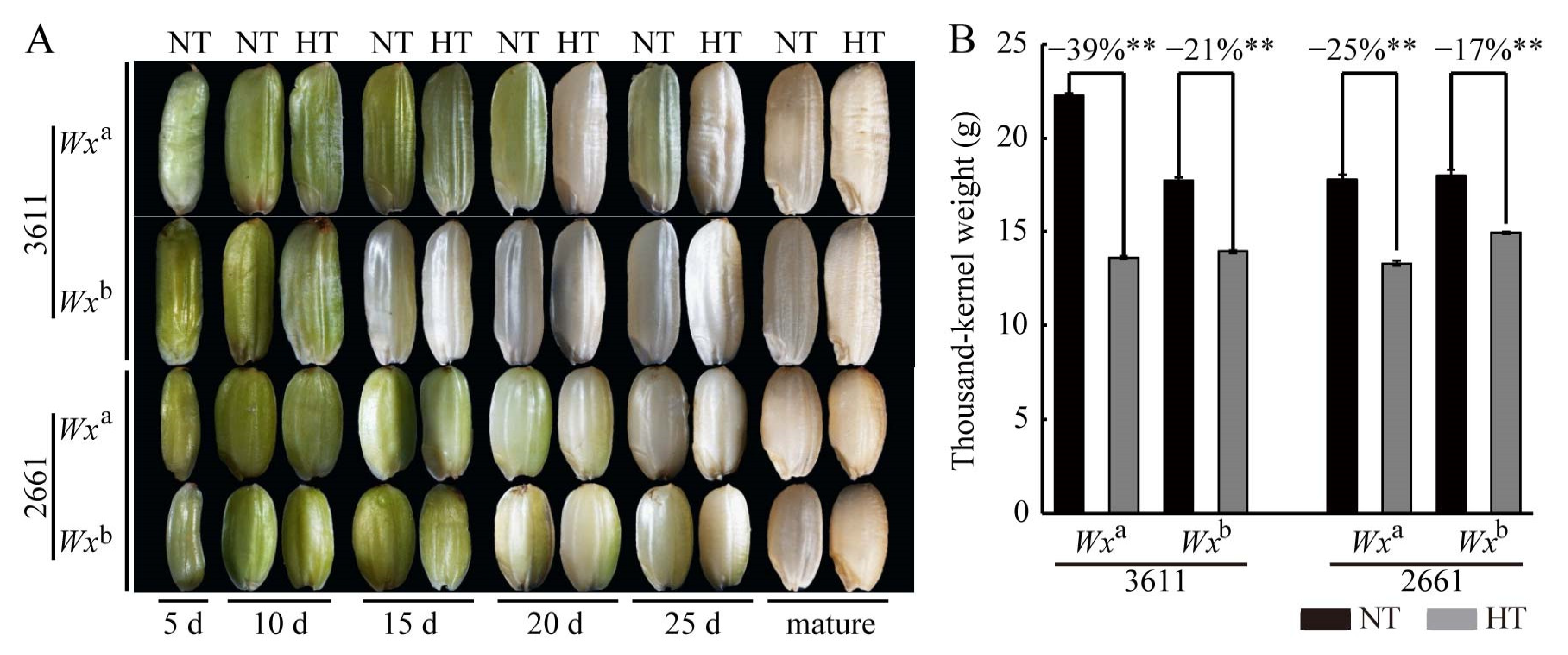 Agronomy 13 00017 g002 Agronomy 13 00017 g002