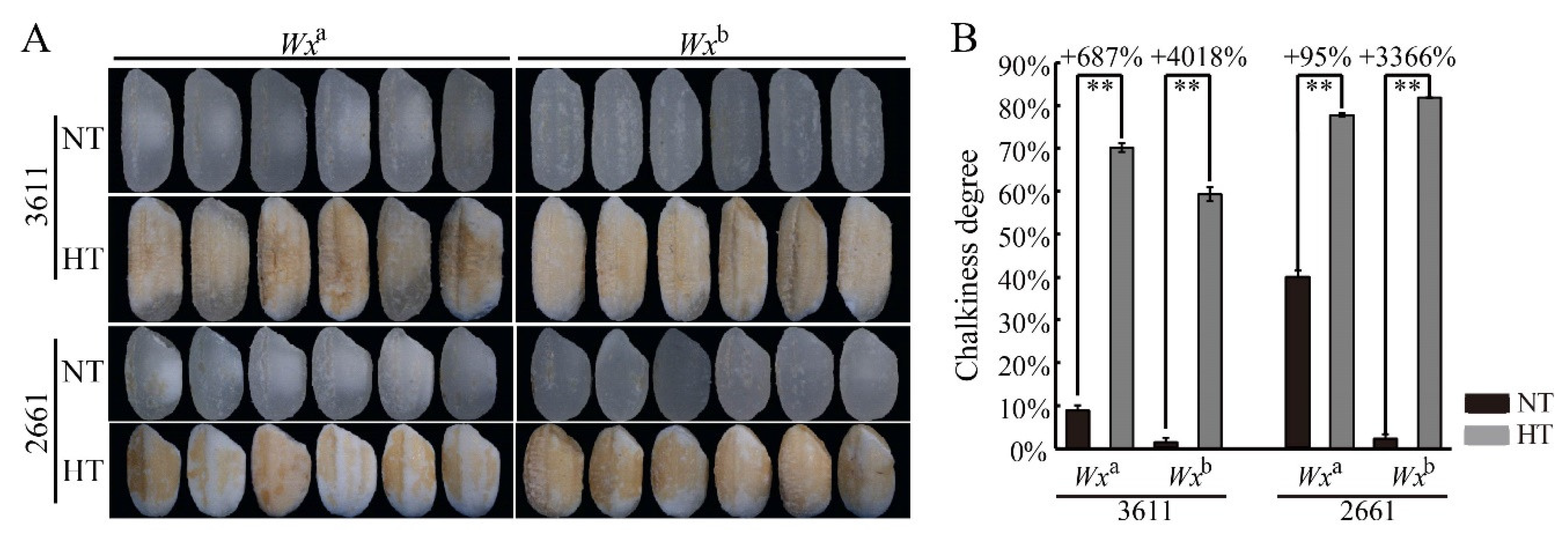 Agronomy 13 00017 g003 Agronomy 13 00017 g003