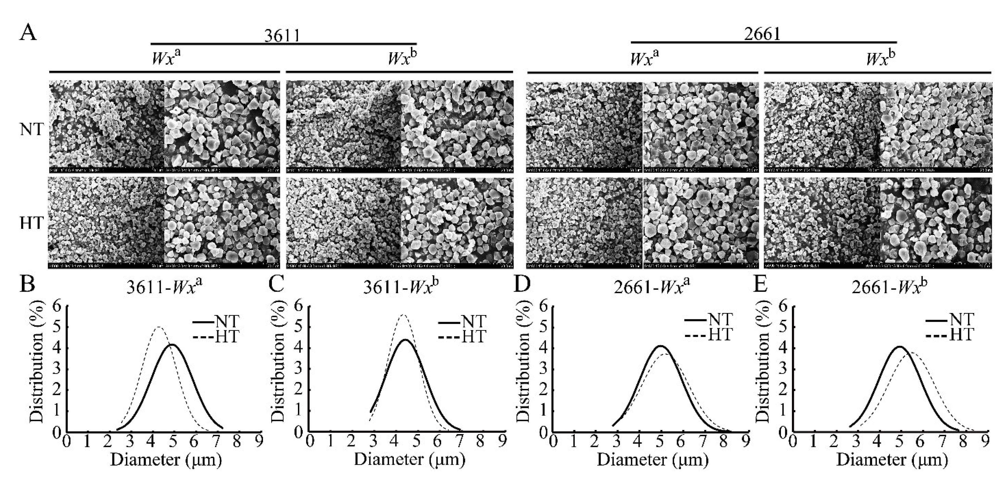 Agronomy 13 00017 g004 Agronomy 13 00017 g004