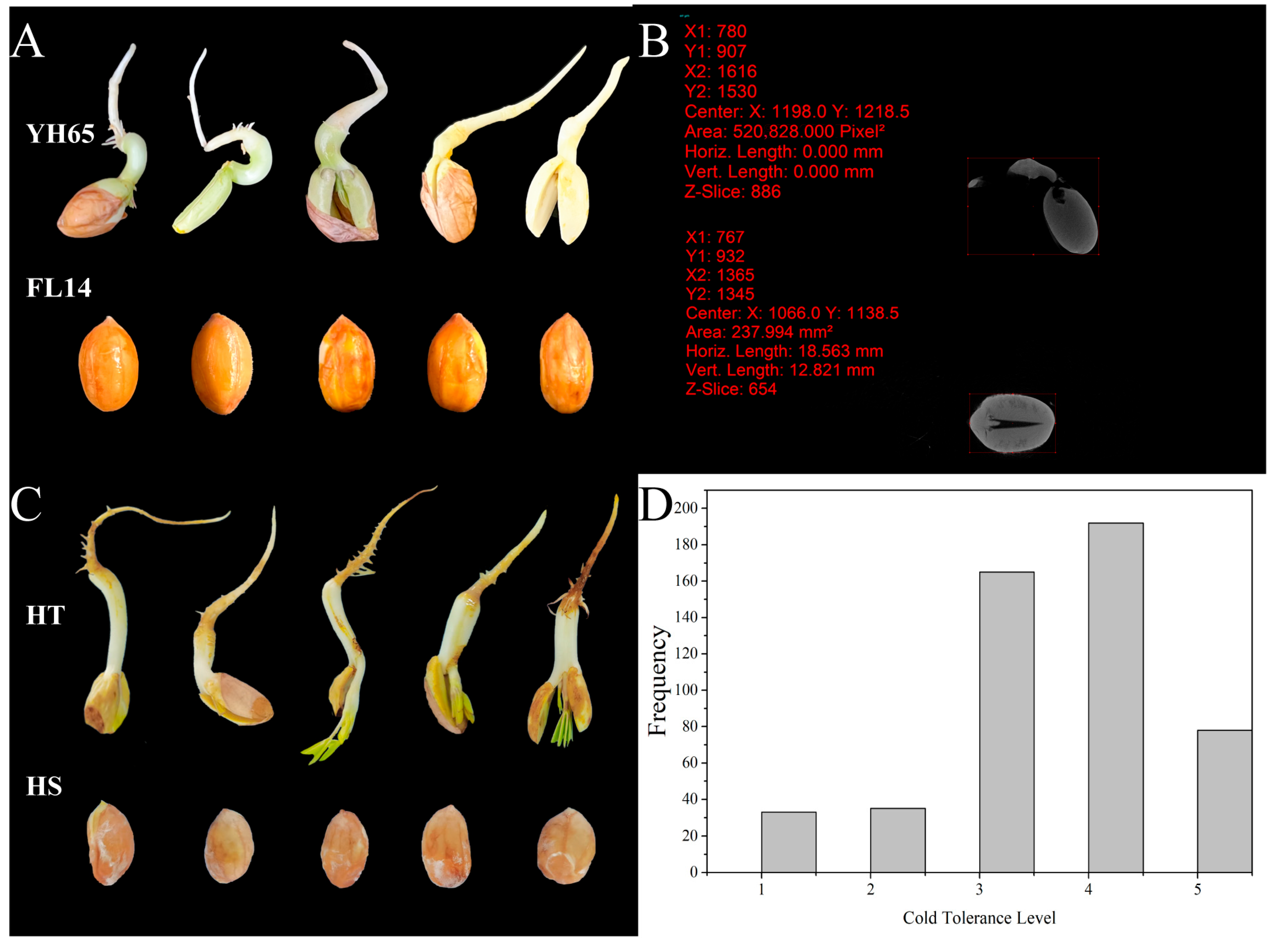 Agronomy 13 00018 g001 Agronomy 13 00018 g001