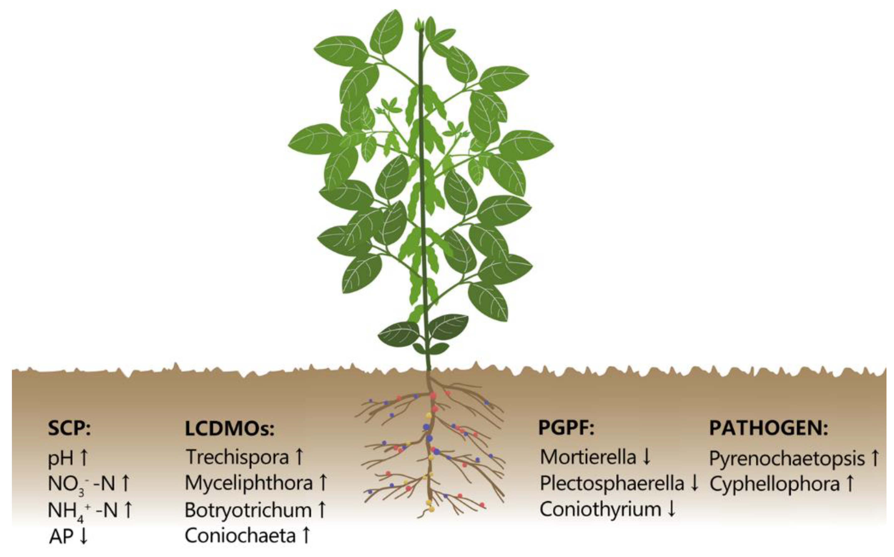 Agronomy 13 00028 g008