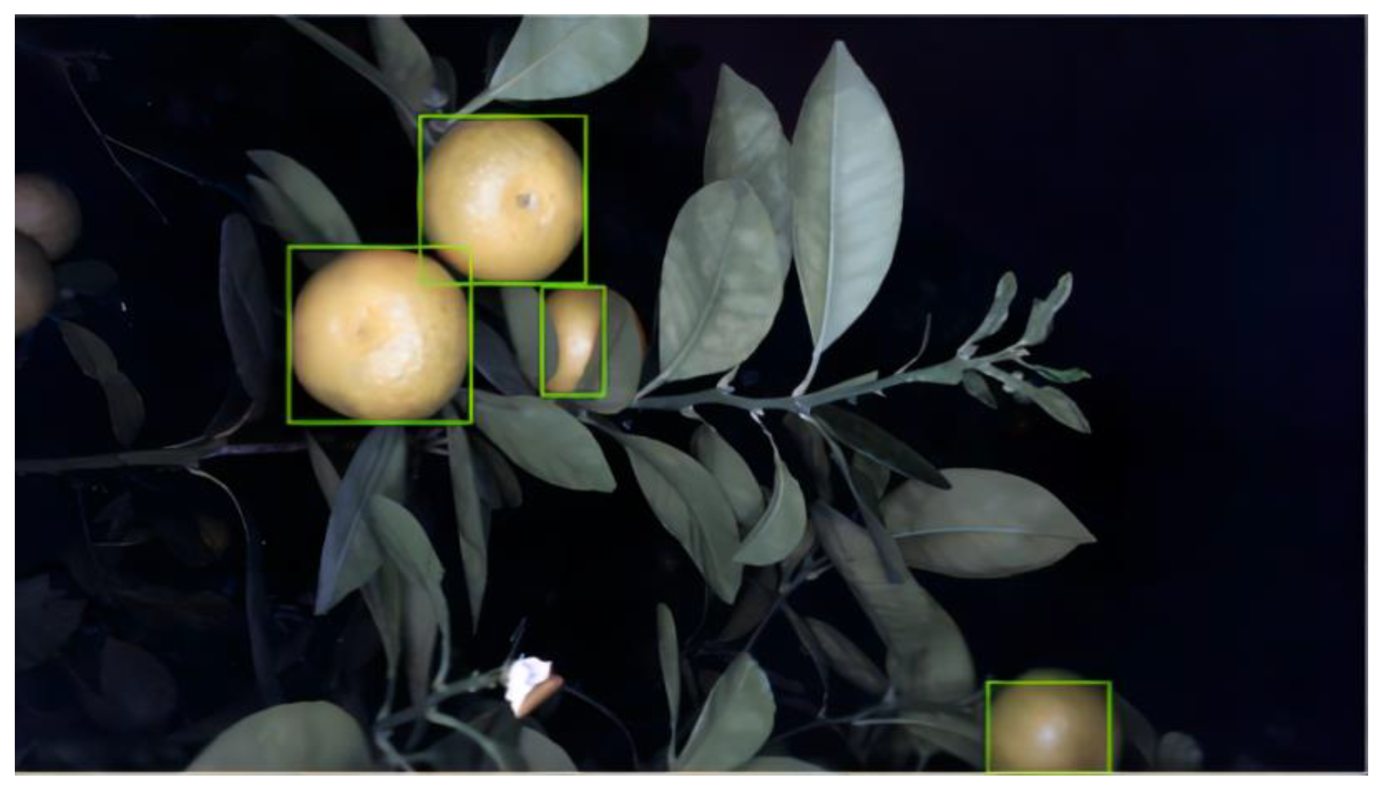 Agronomy 13 00043 g002 Agronomy 13 00043 g002