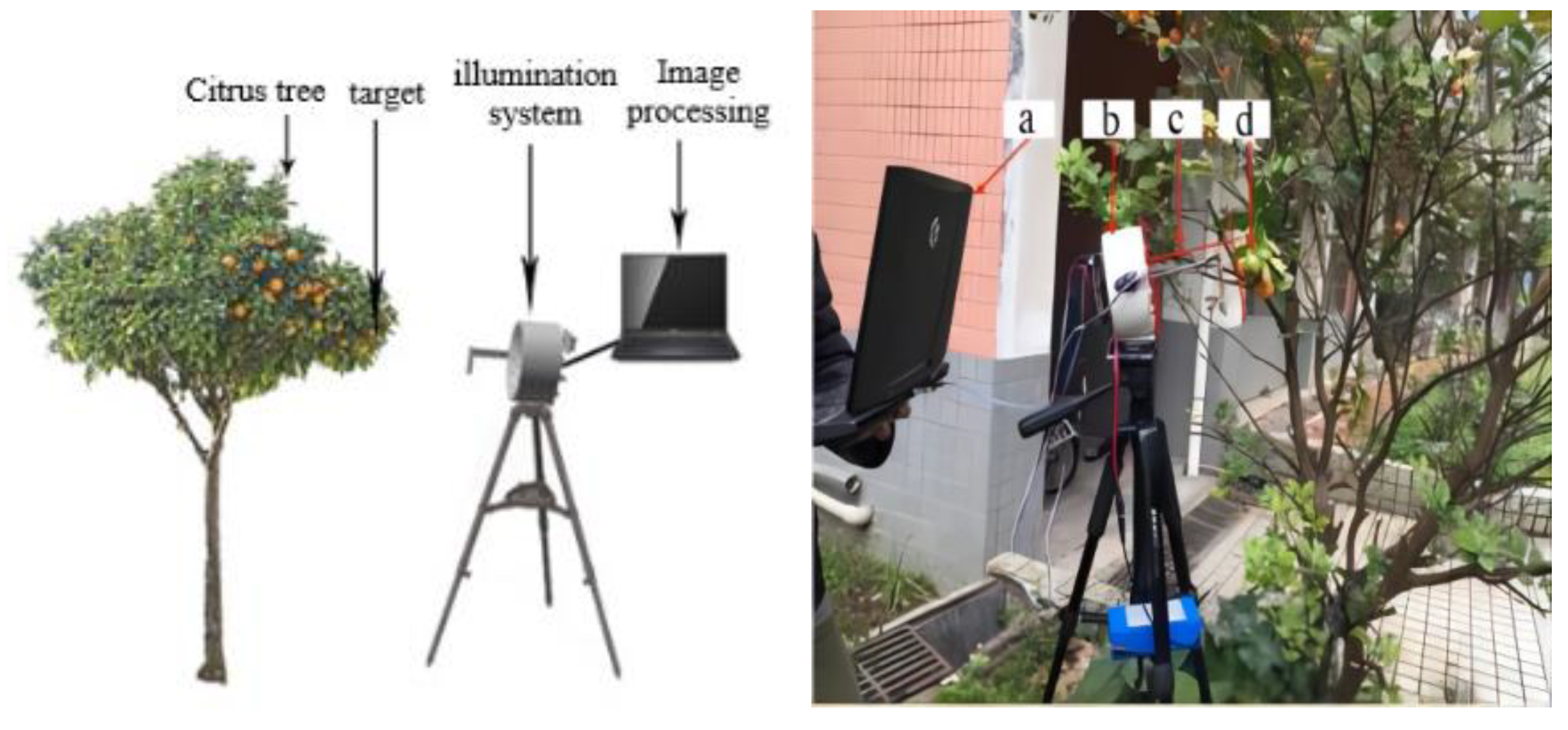 Agronomy 13 00043 g004 Agronomy 13 00043 g004