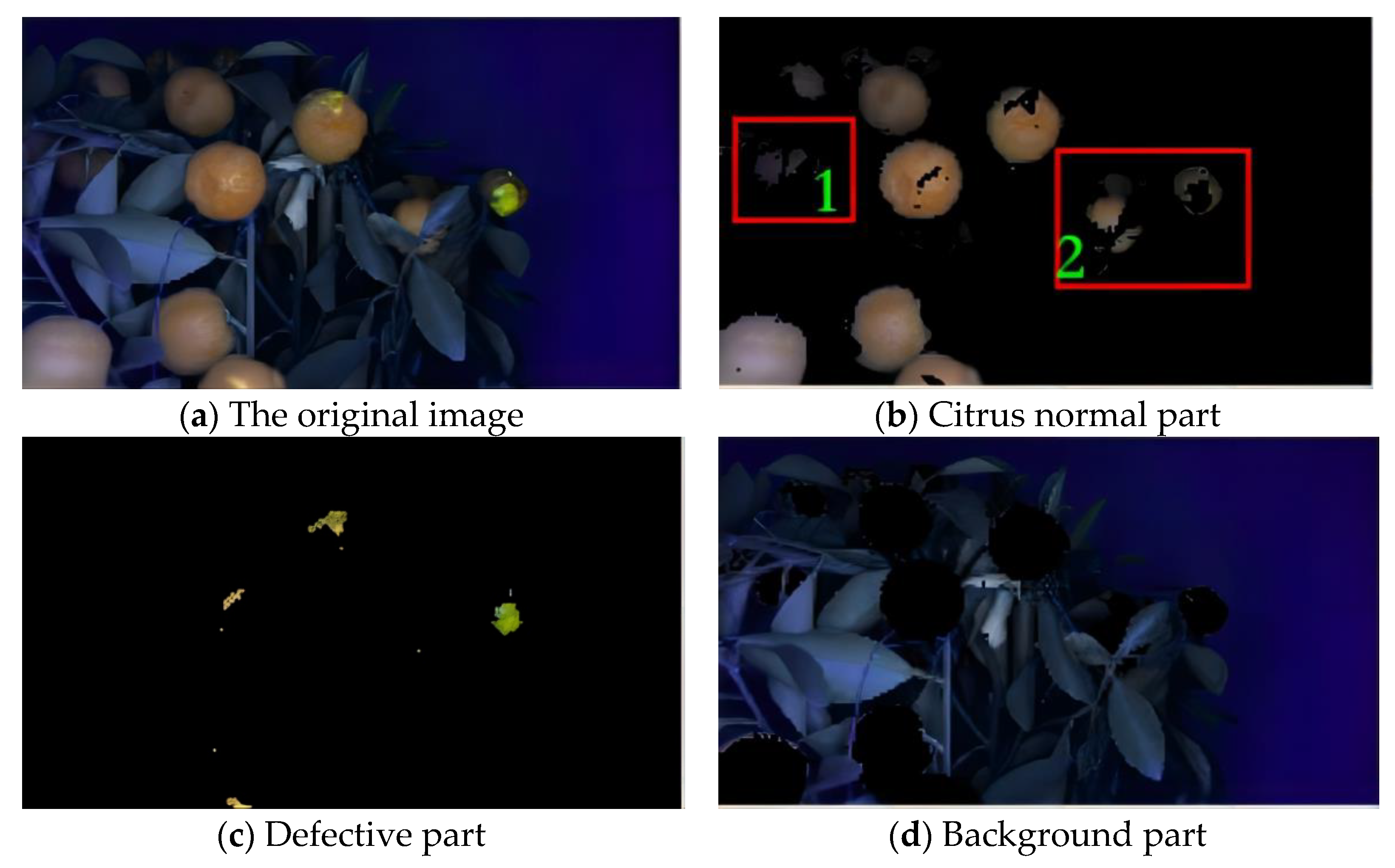 Agronomy 13 00043 g011 Agronomy 13 00043 g011