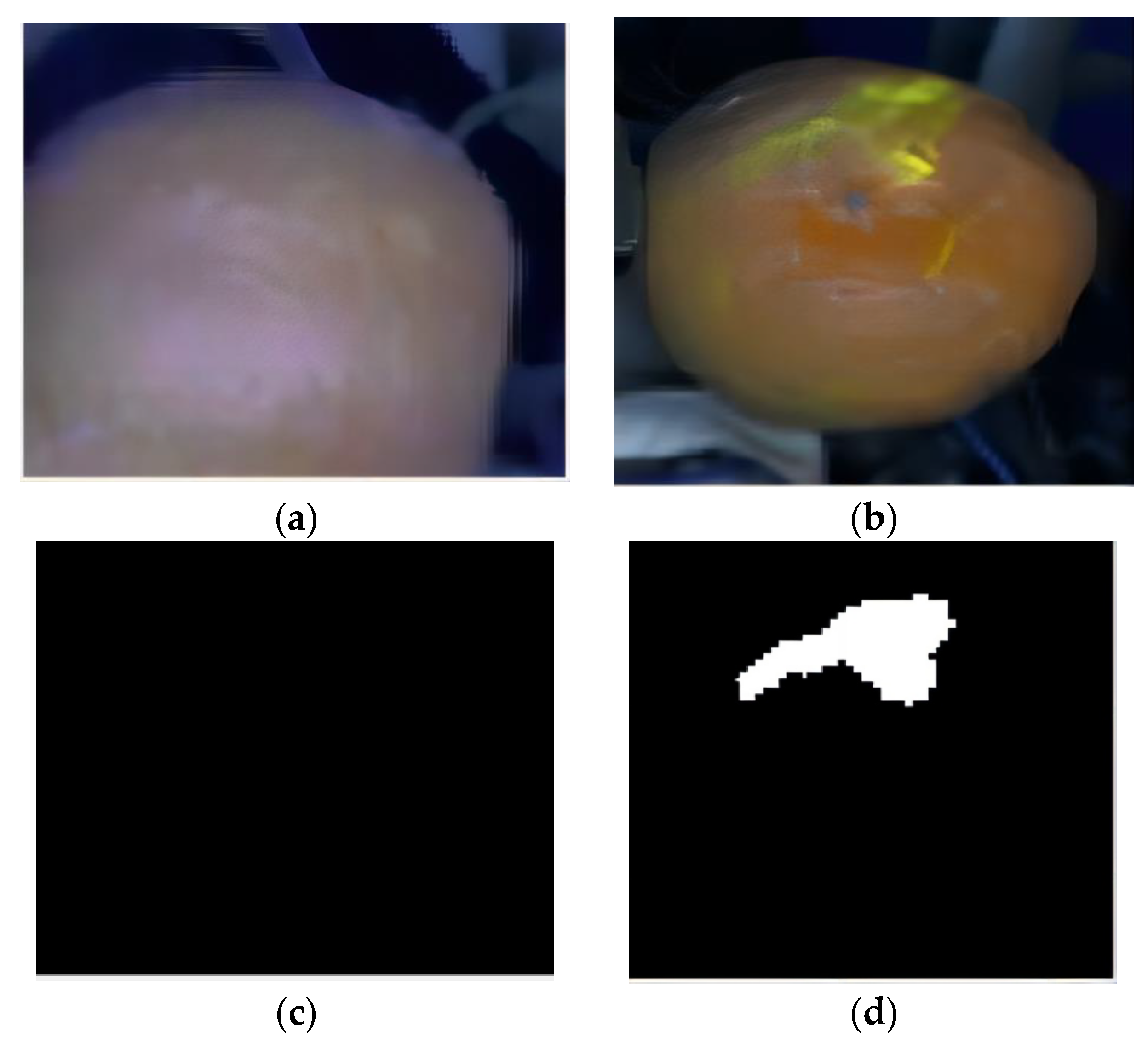 Agronomy 13 00043 g013 Agronomy 13 00043 g013