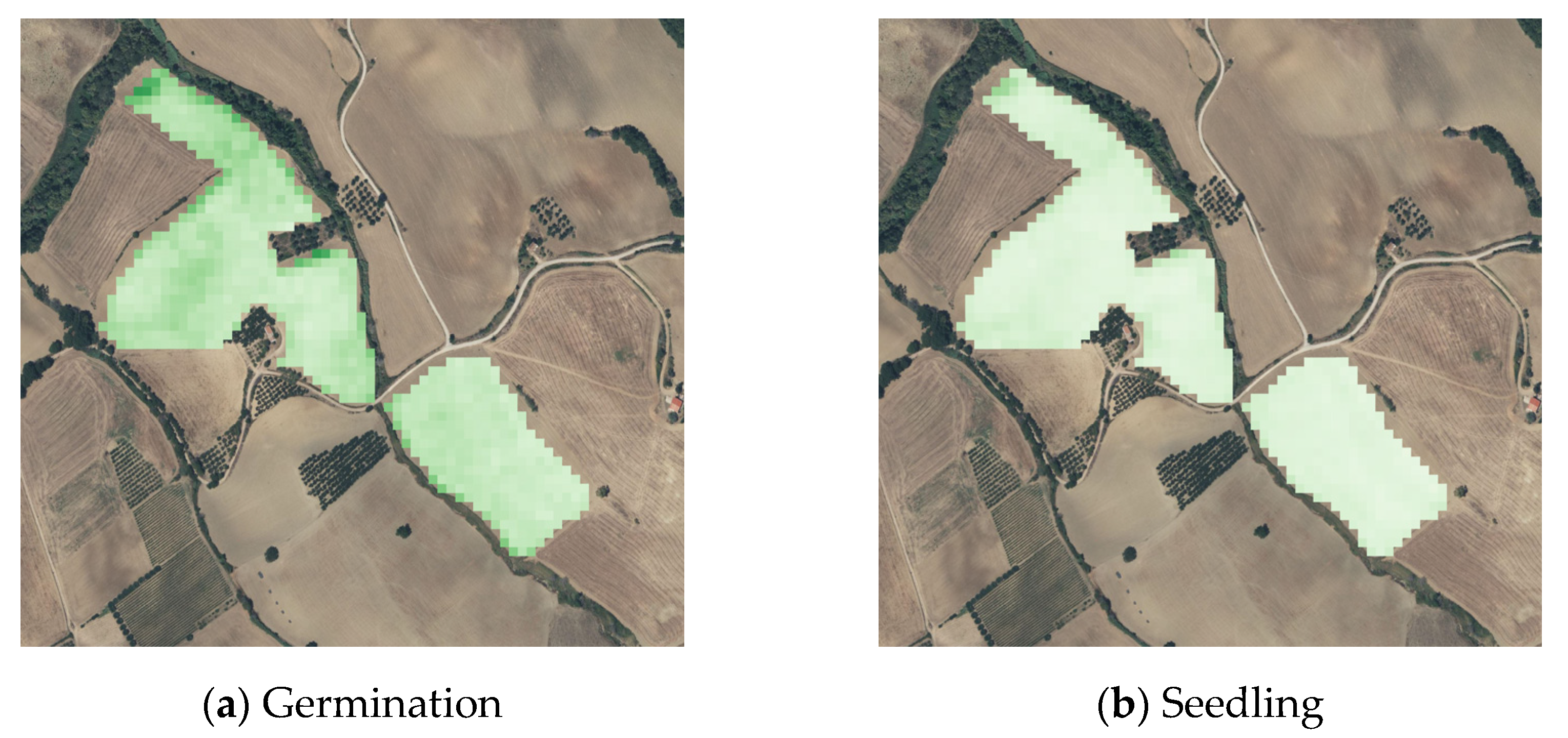 Agronomy 13 00044 g005b Agronomy 13 00044 g005b