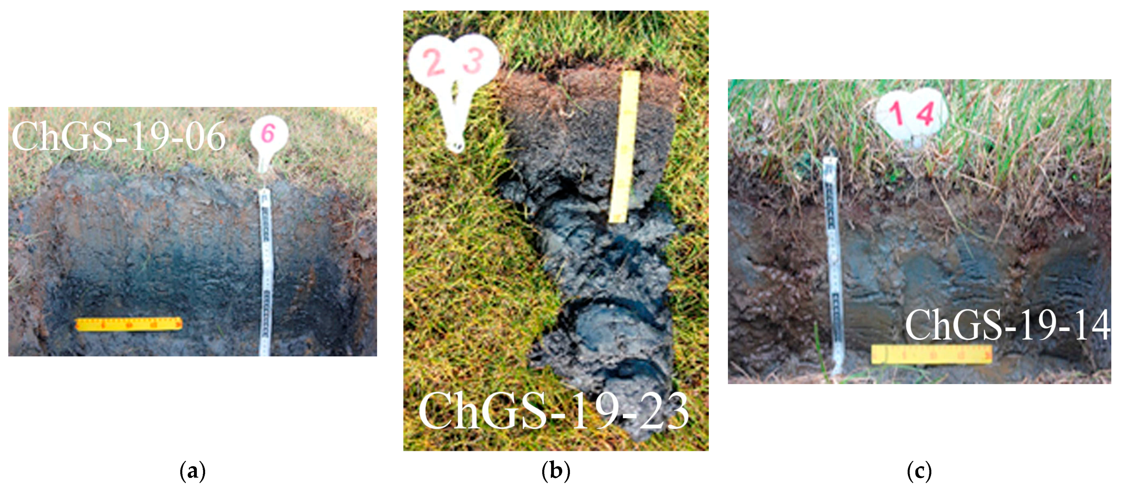 Agronomy 13 00048 g002
