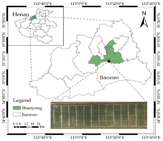 Agronomy | Free Full-Text | Hyperspectral Estimation of Winter 