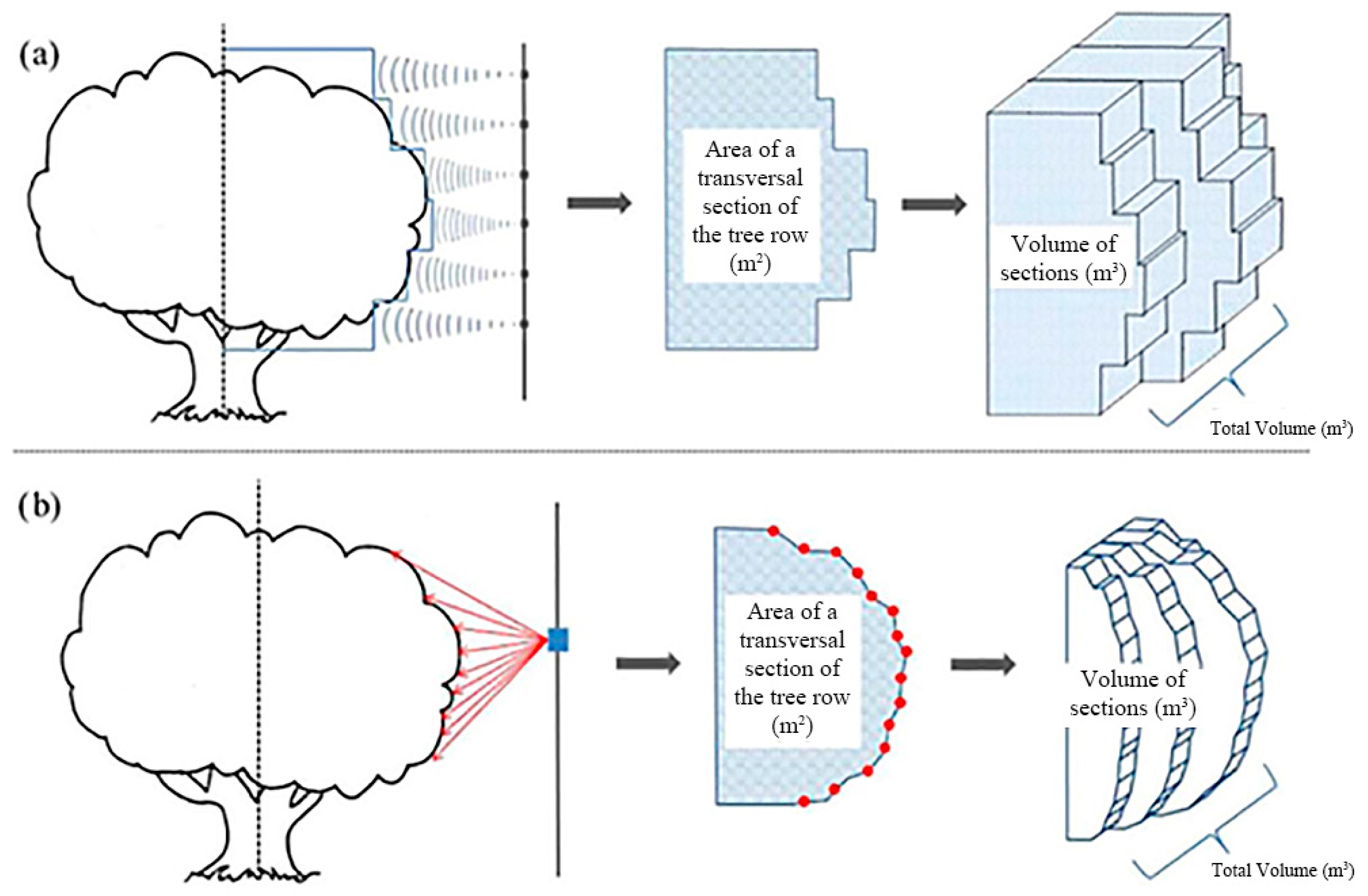 Agronomy 13 00059 g001
