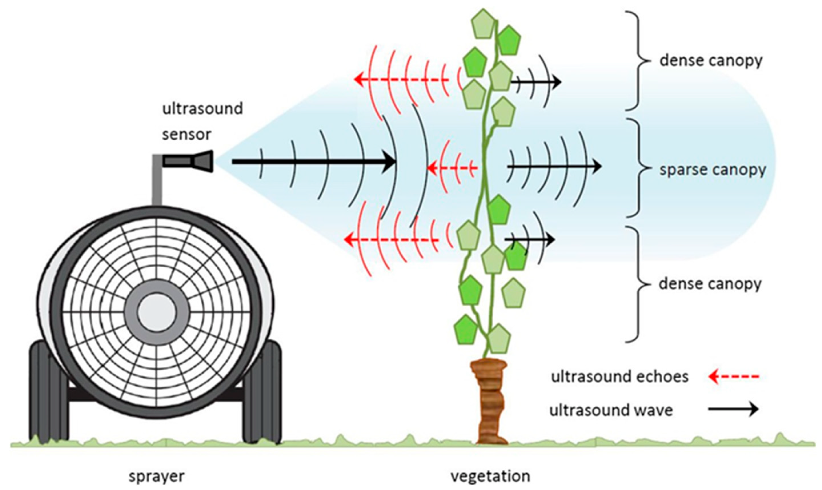 Agronomy 13 00059 g002