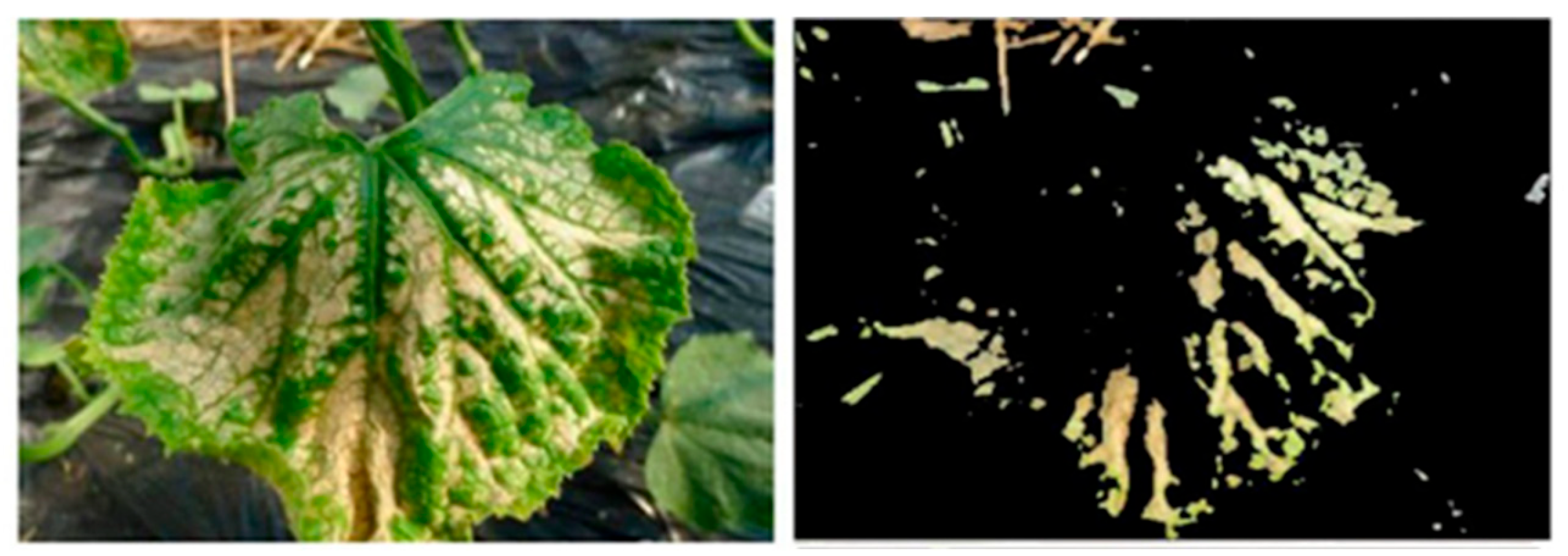 Agronomy 13 00059 g003