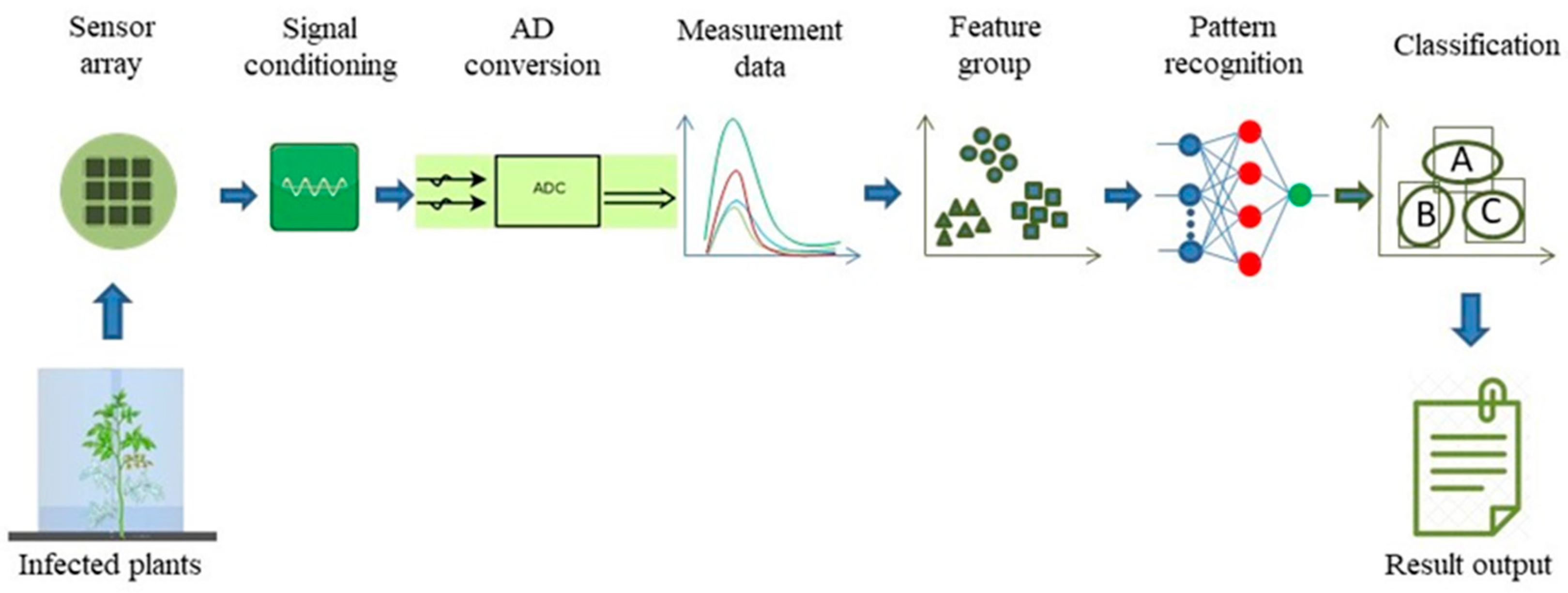 Agronomy 13 00059 g004