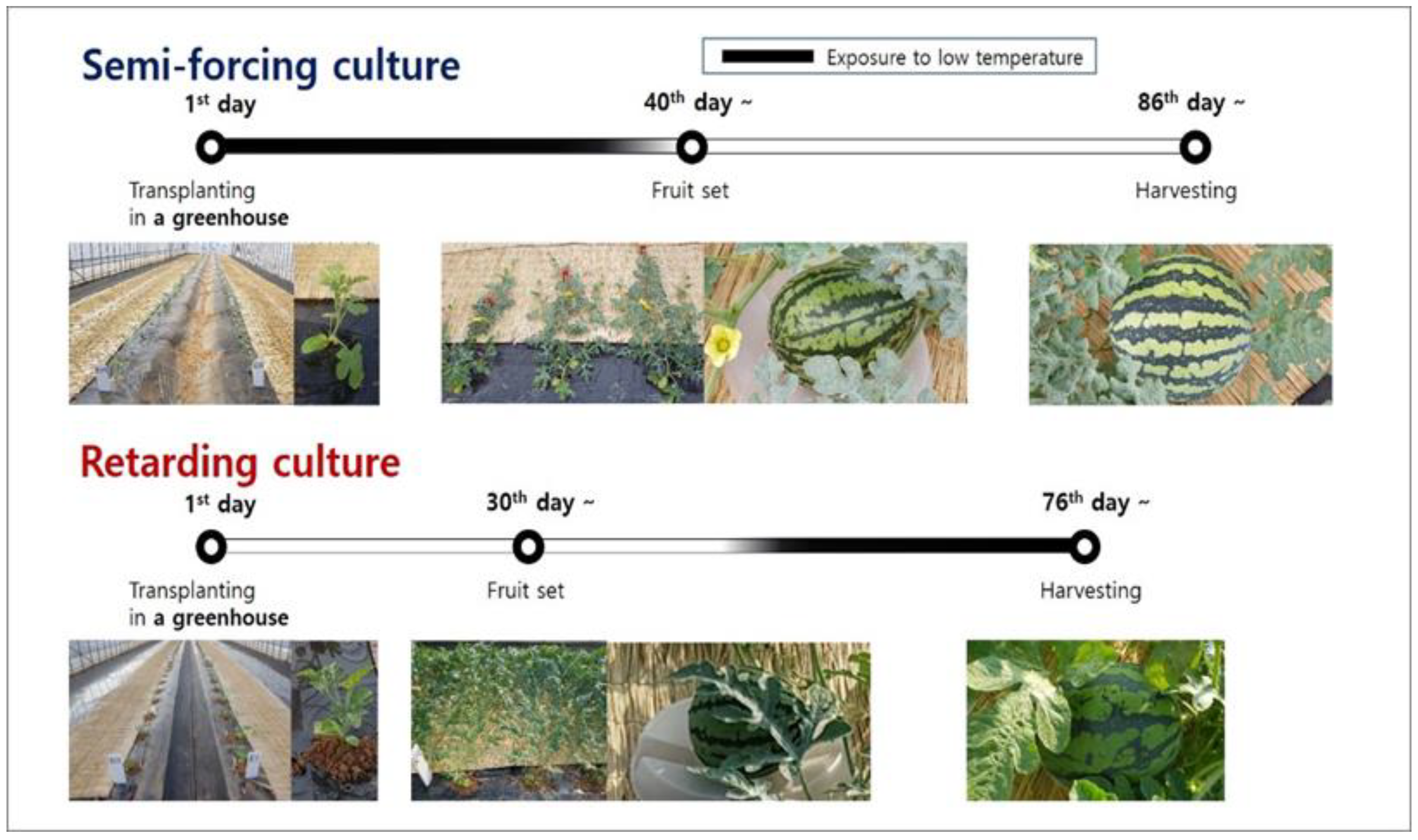 Agronomy 13 00067 g001