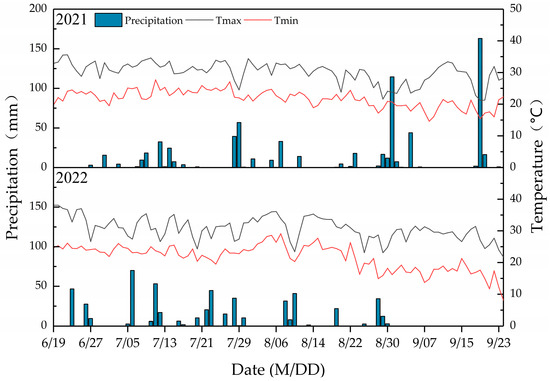 Response of Water Radiation Utilization of Summer Maize to