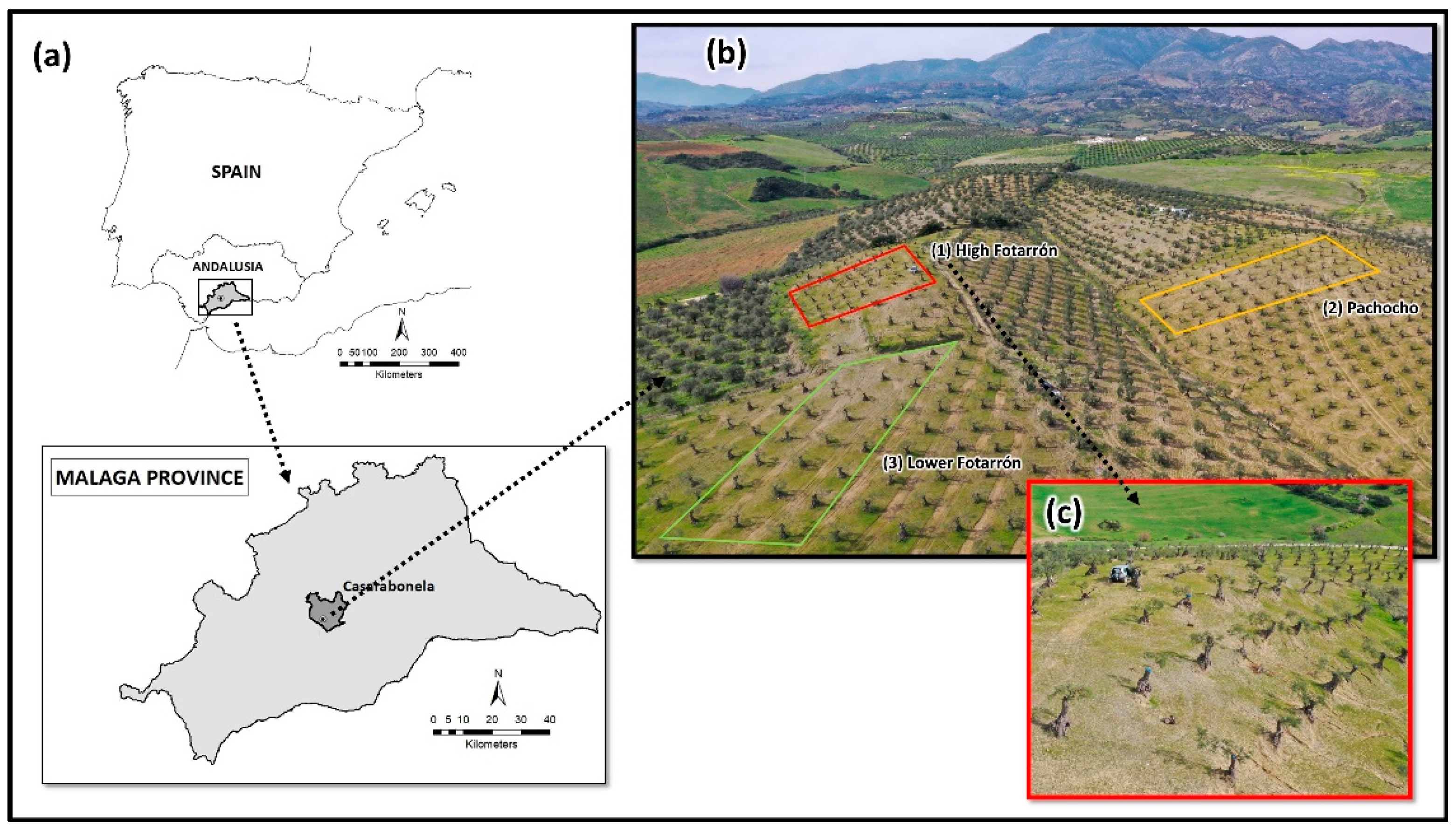 Agronomy 13 00070 g0a1 Agronomy 13 00070 g0a1