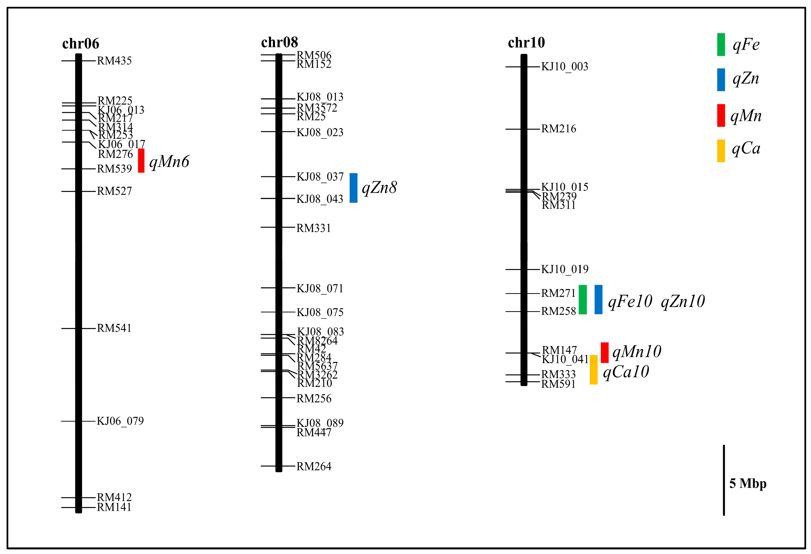 Agronomy 13 00076 g002 Agronomy 13 00076 g002