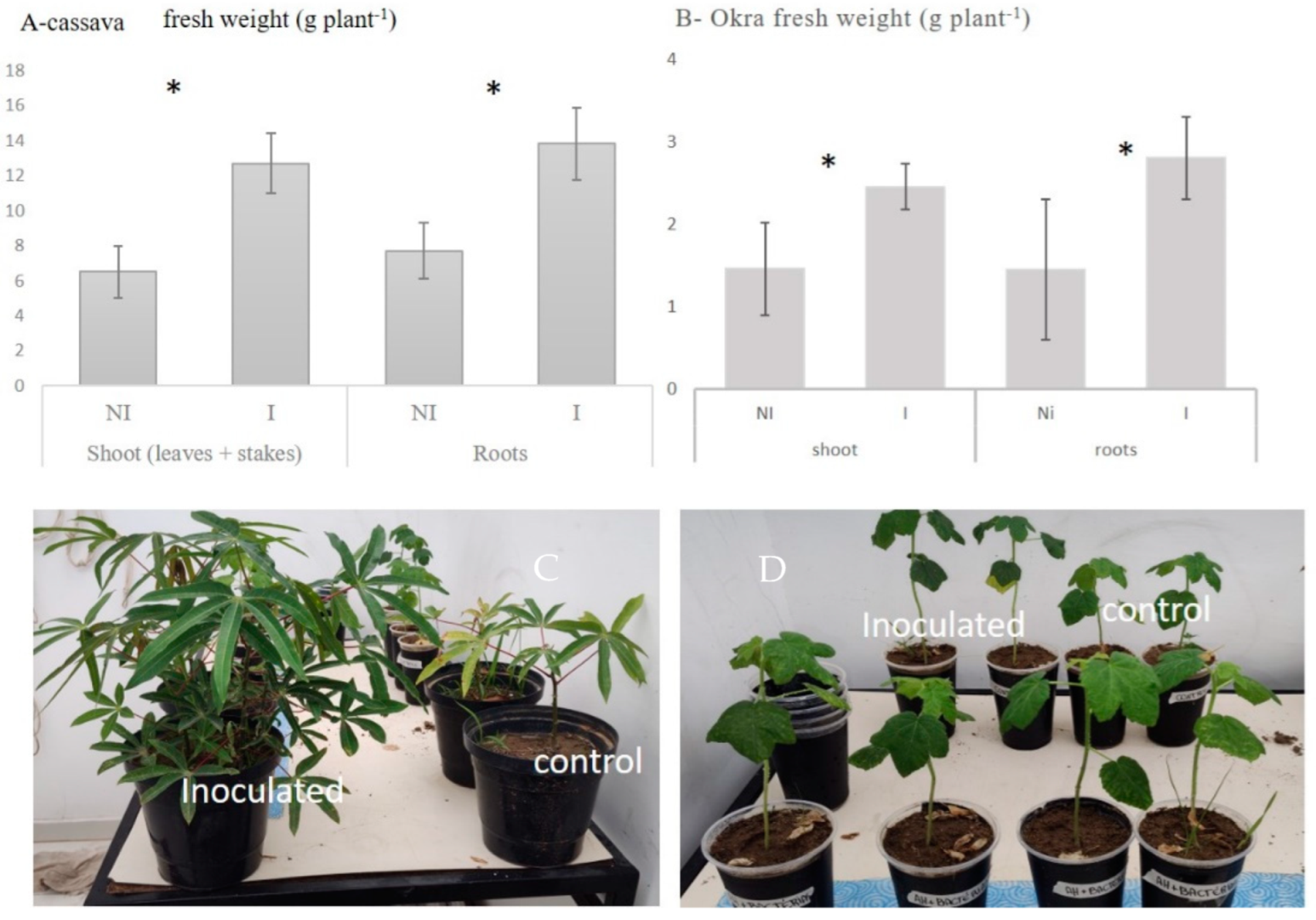 Agronomy 13 00080 g002 Agronomy 13 00080 g002