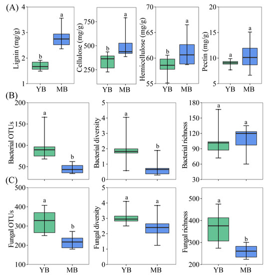 Branch Lignification of the Desert Plant Nitraria tangutorum