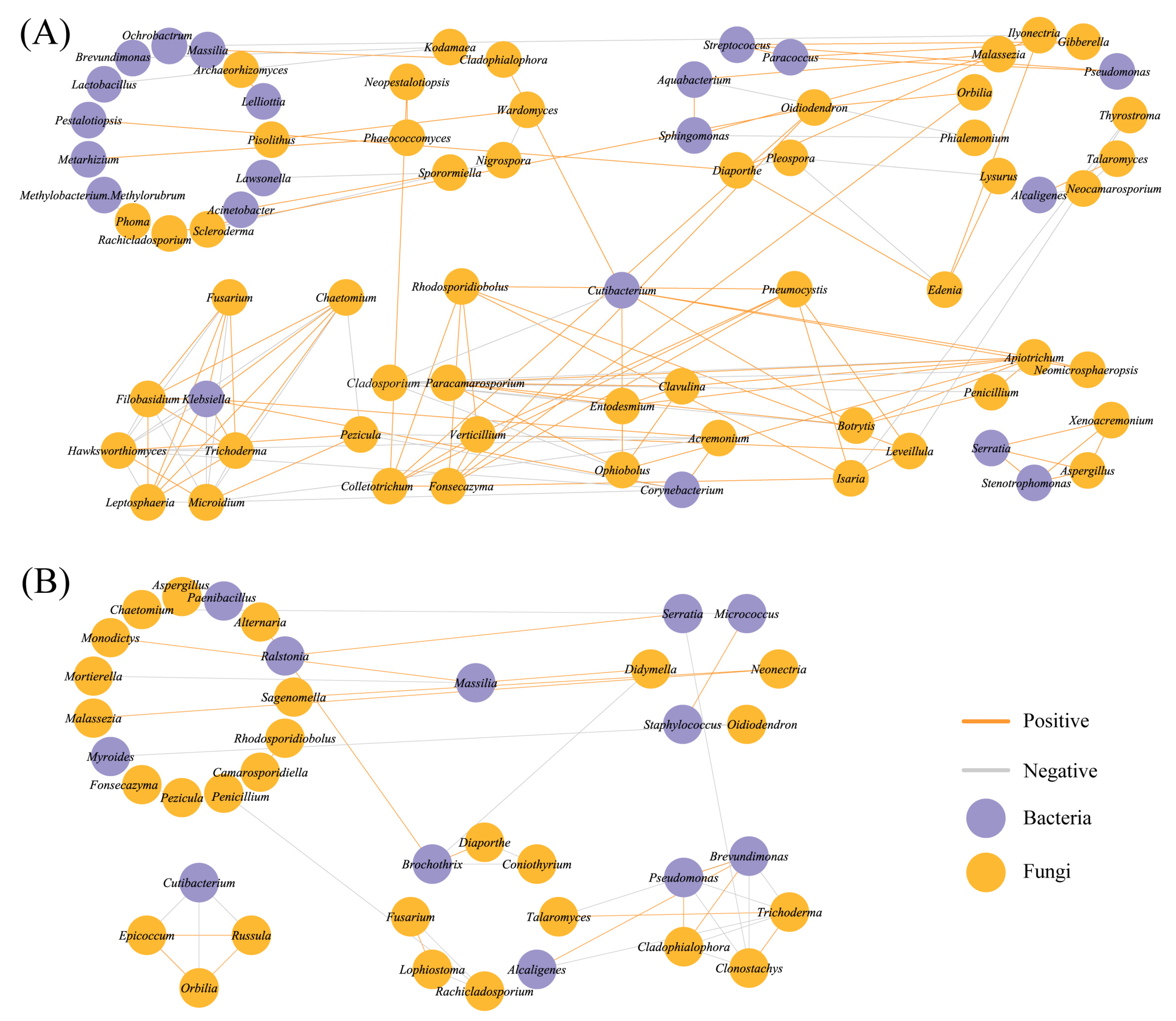 Agronomy 13 00090 g006