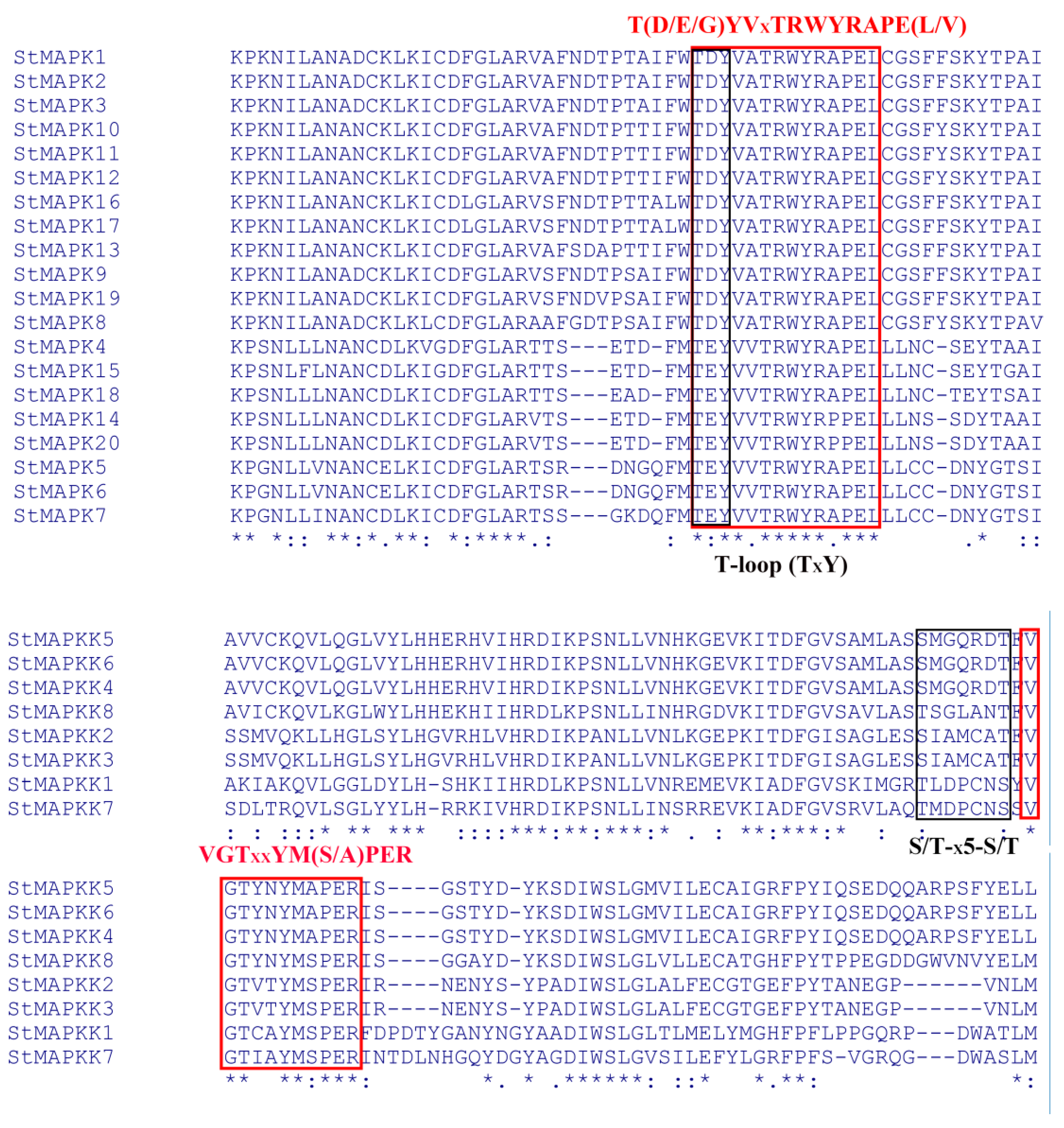 Agronomy 13 00093 g001 Agronomy 13 00093 g001