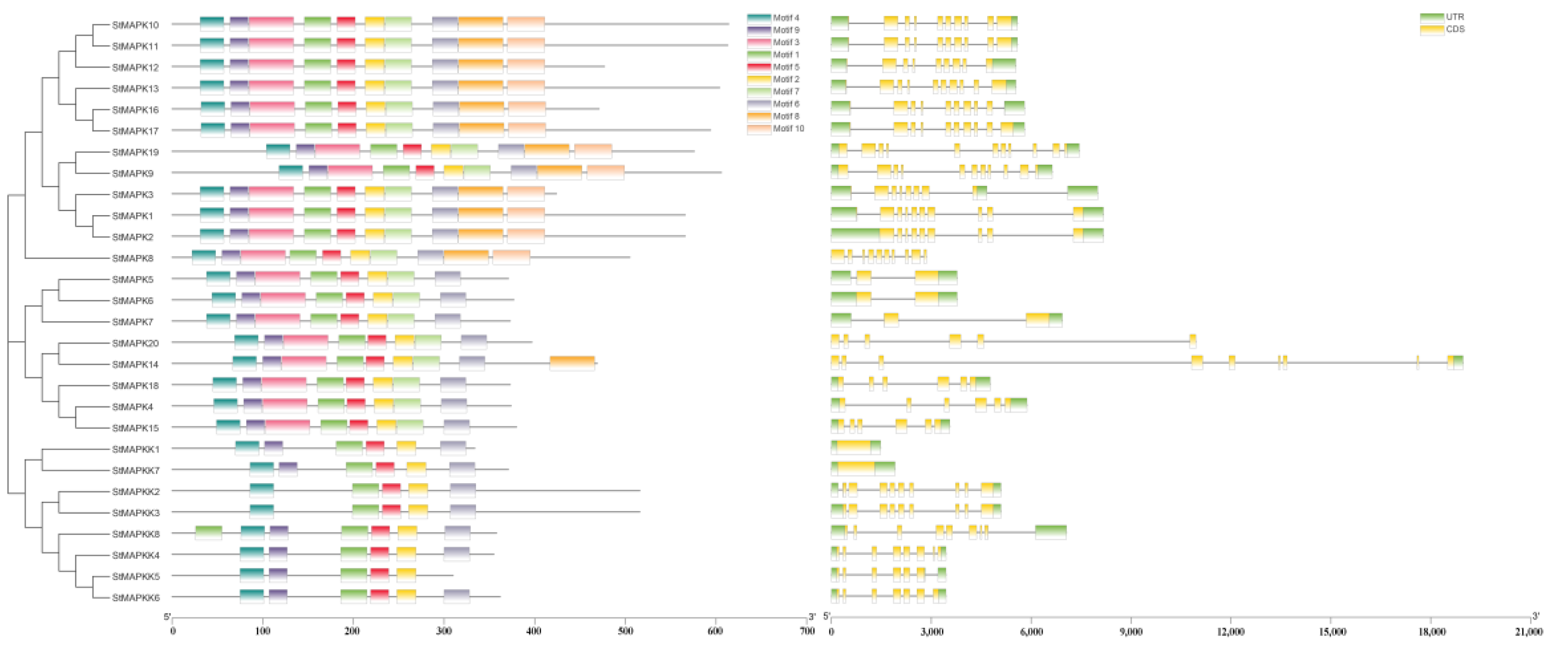 Agronomy 13 00093 g003 Agronomy 13 00093 g003