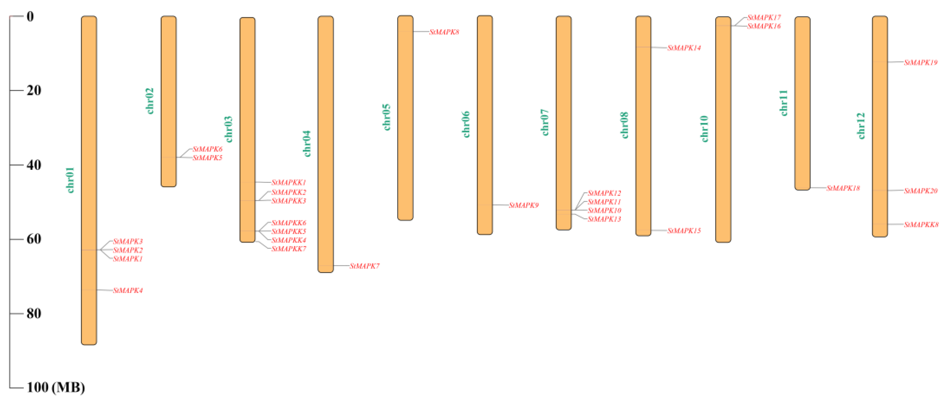 Agronomy 13 00093 g004 Agronomy 13 00093 g004