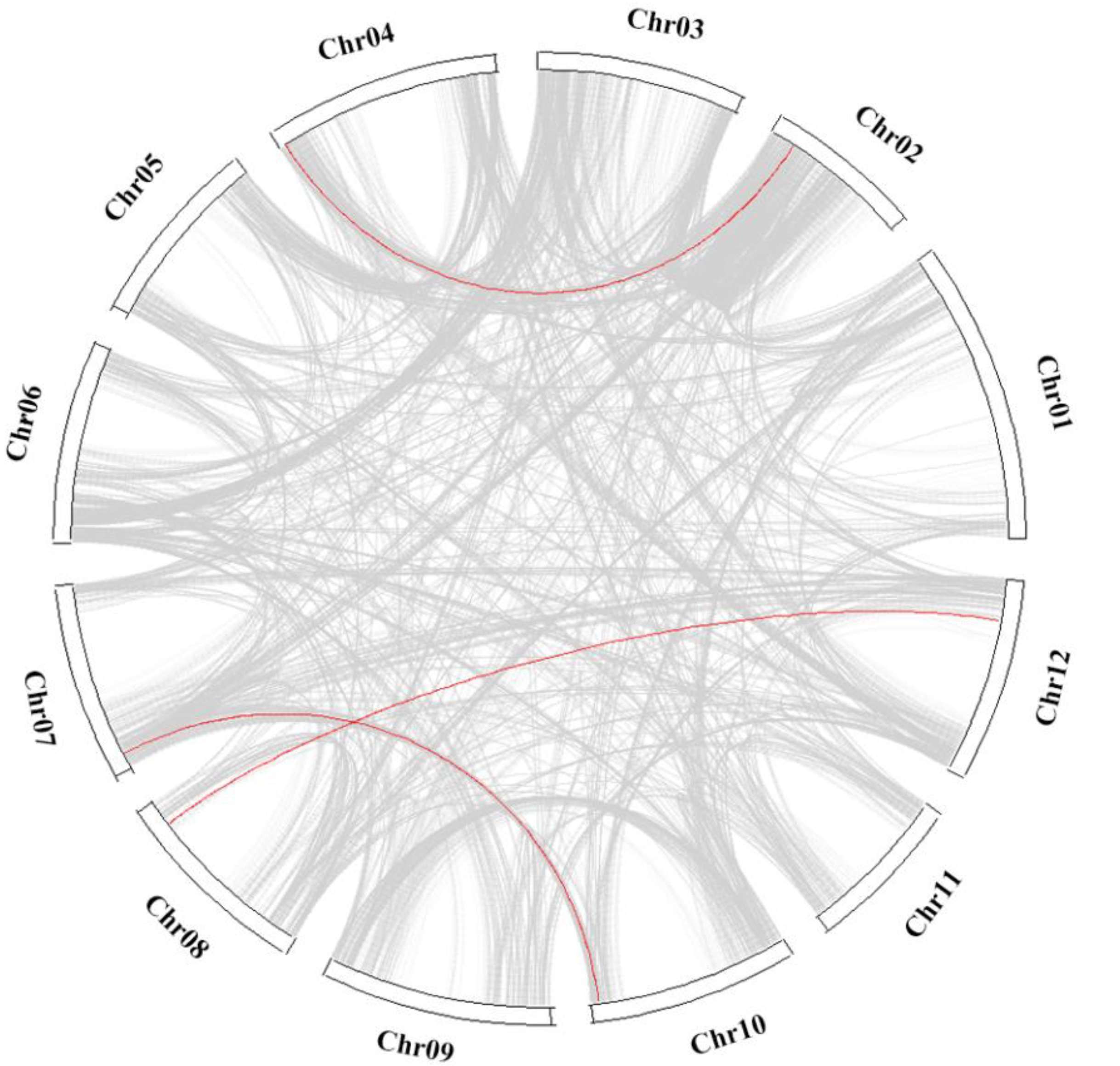Agronomy 13 00093 g005 Agronomy 13 00093 g005
