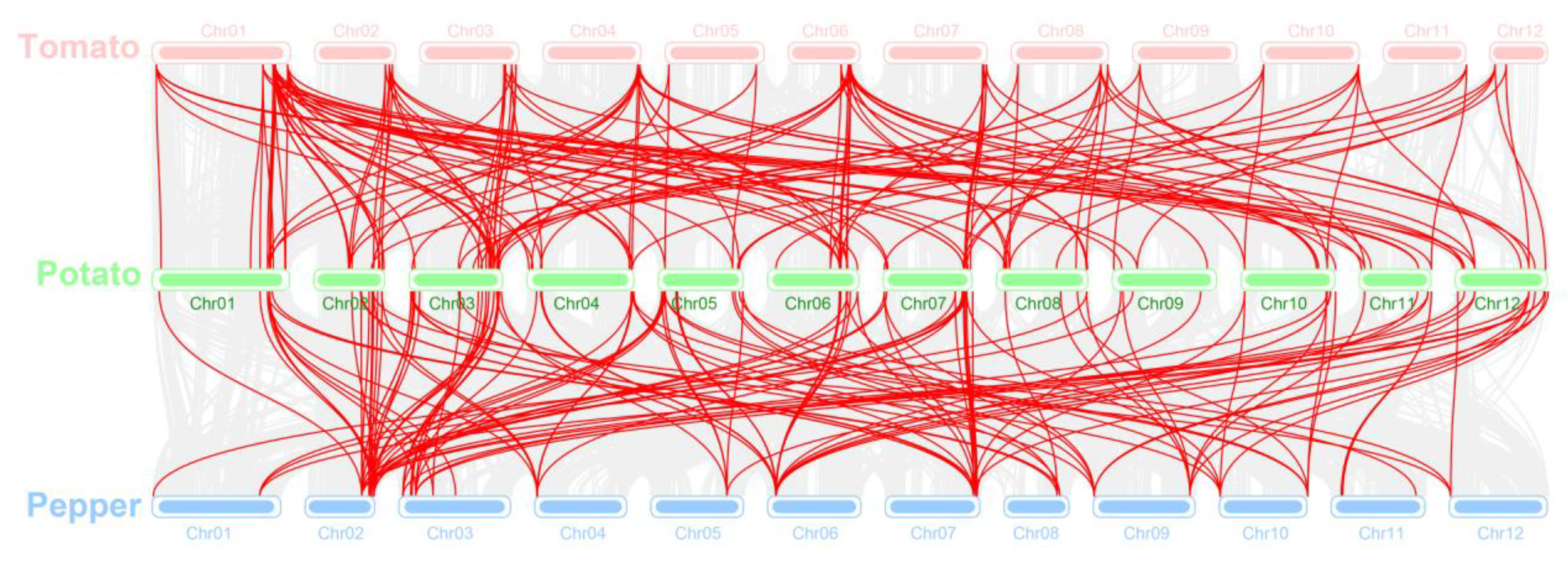 Agronomy 13 00093 g006 Agronomy 13 00093 g006