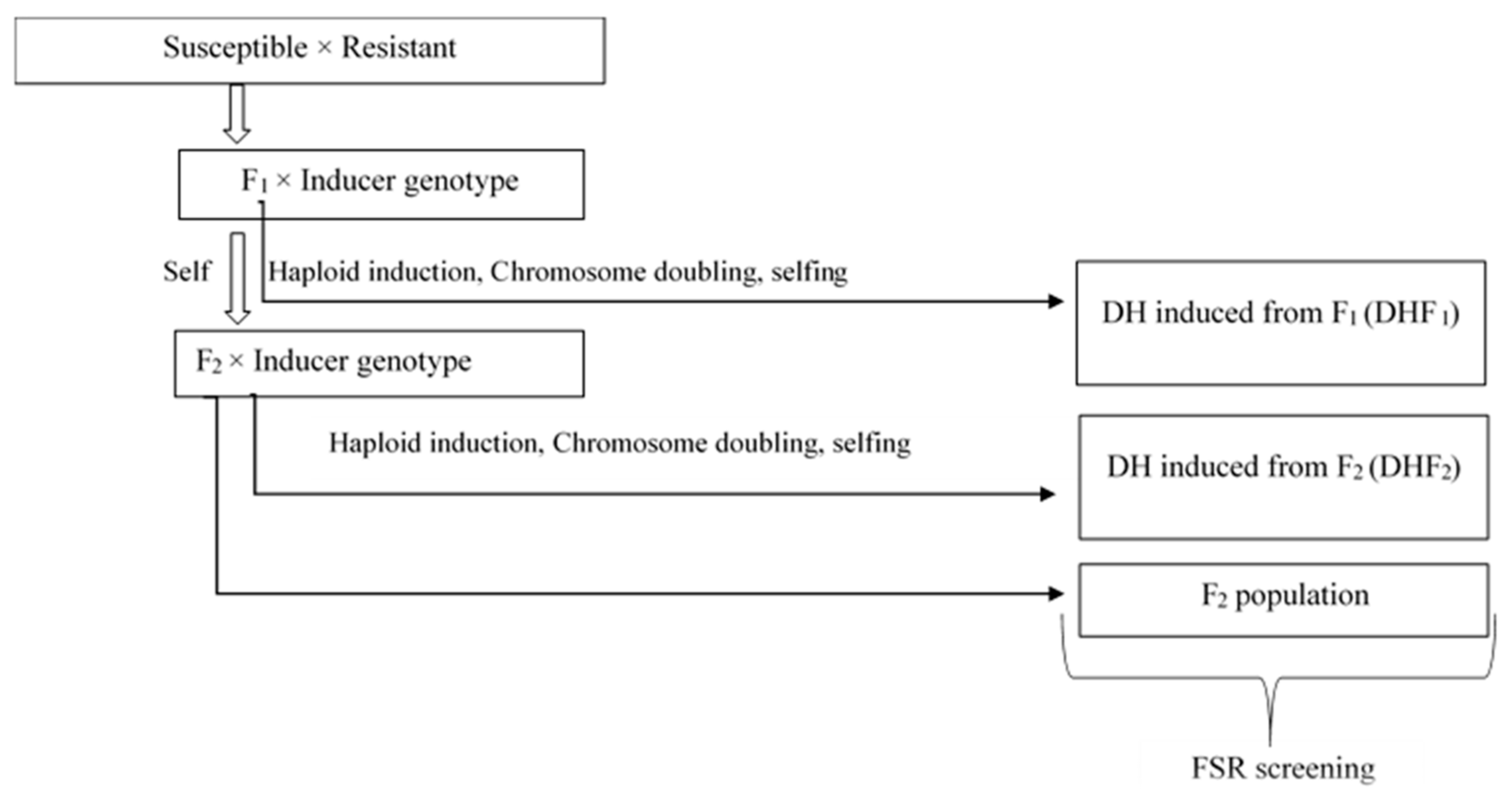 Agronomy 13 00100 g001