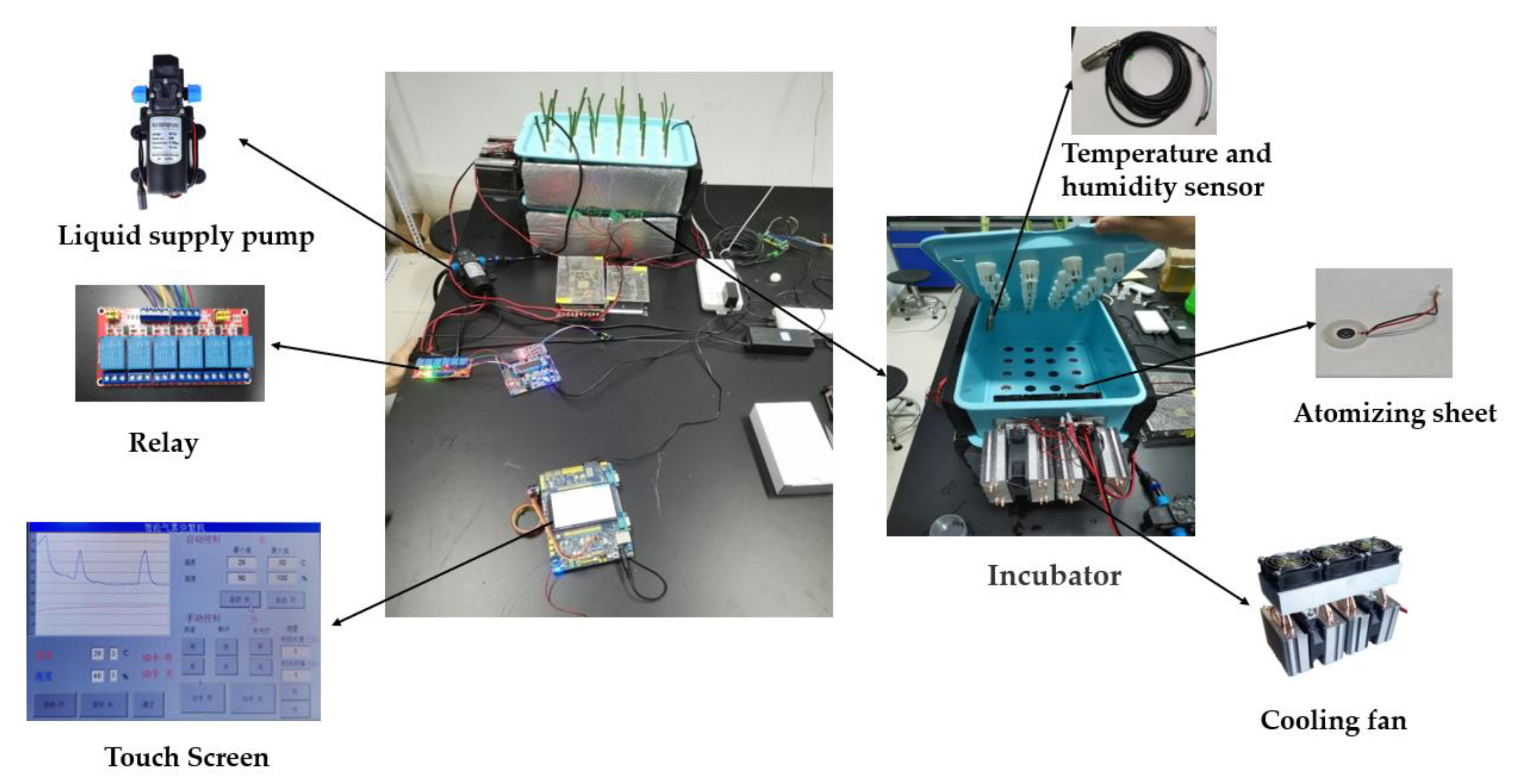 Agronomy 13 00106 g002 Agronomy 13 00106 g002