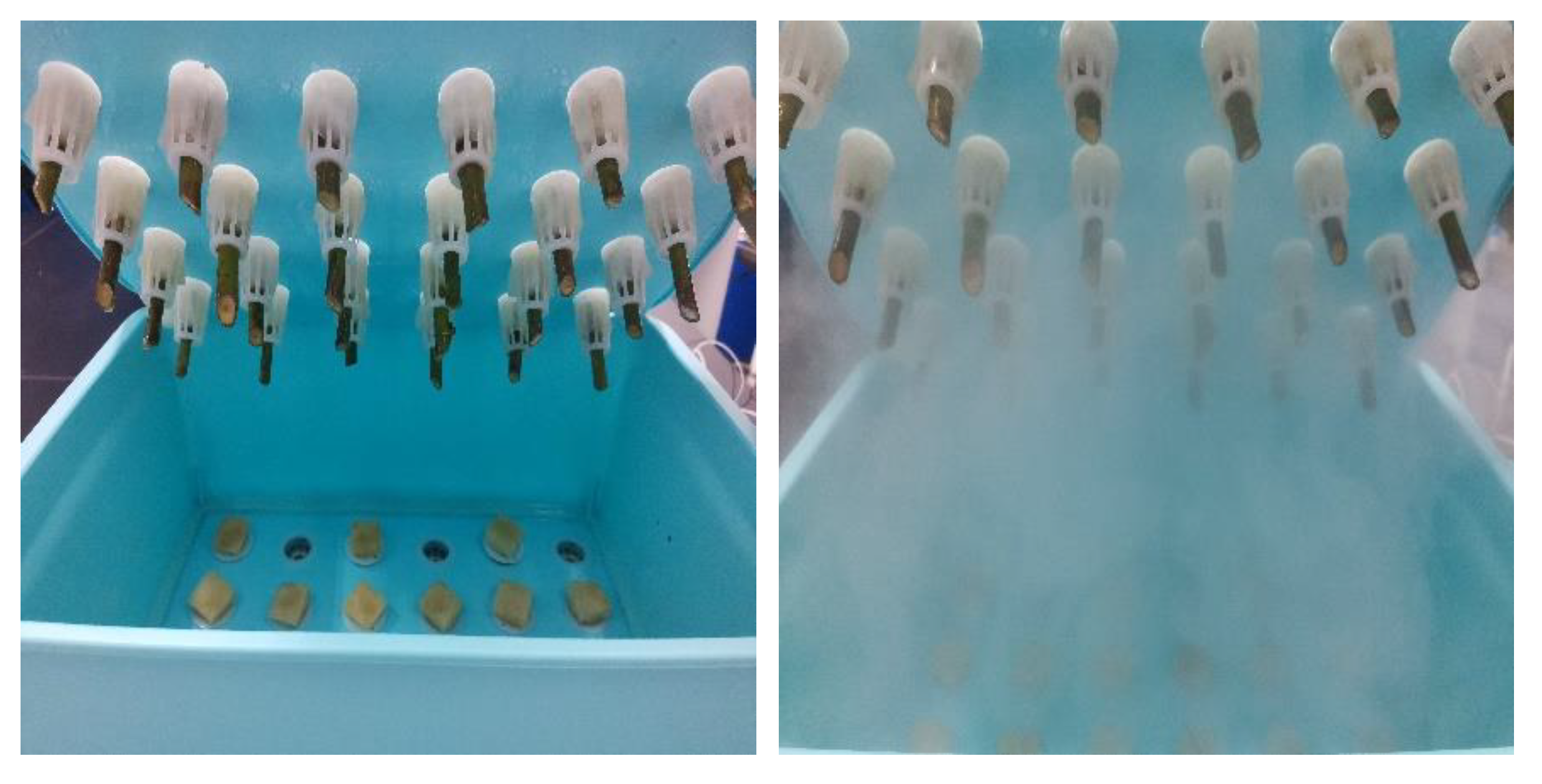 Agronomy 13 00106 g003 Agronomy 13 00106 g003