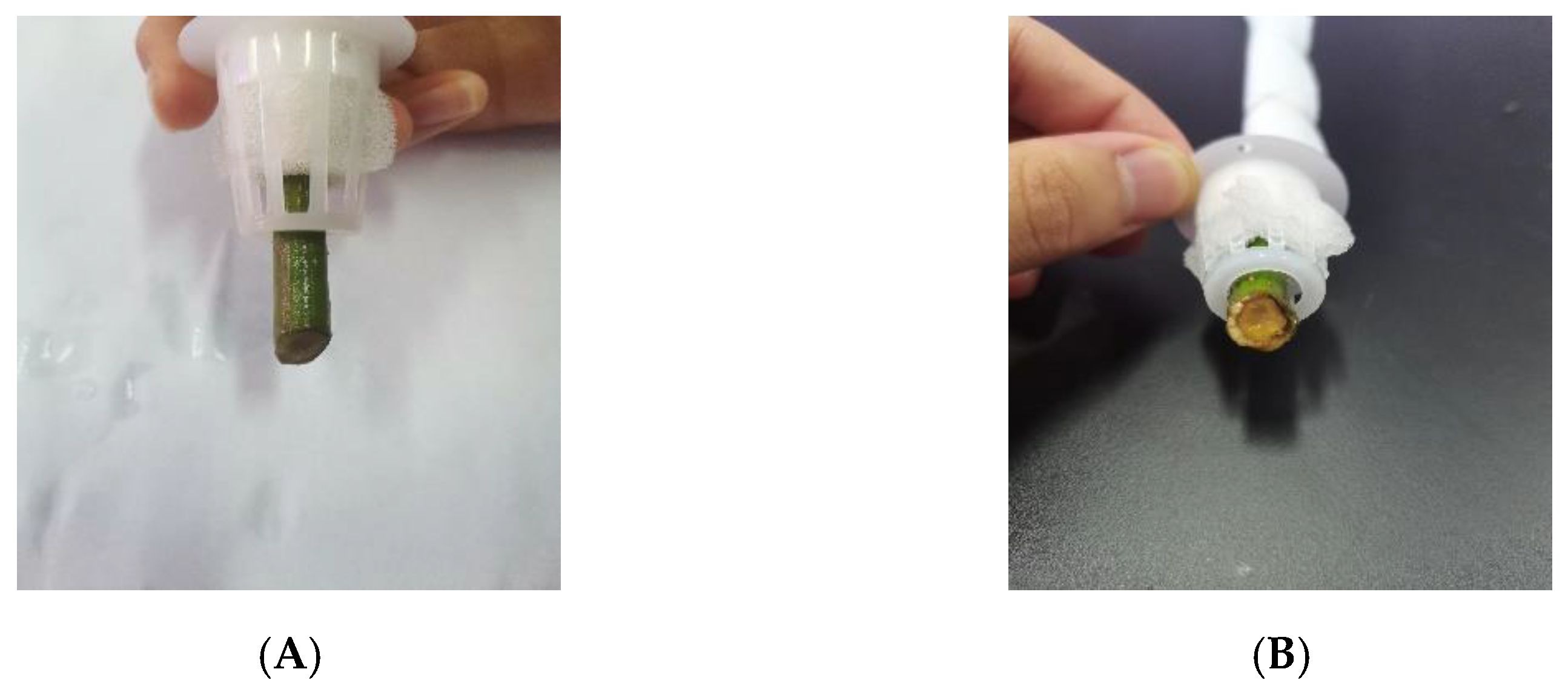 Agronomy 13 00106 g004a Agronomy 13 00106 g004a