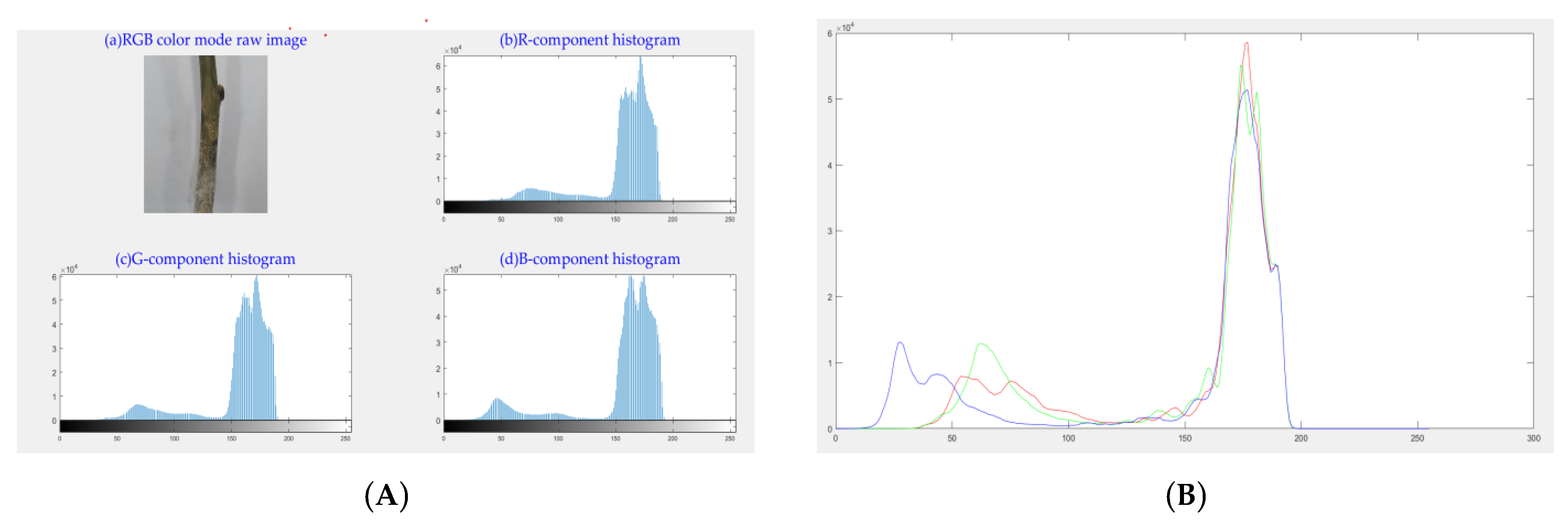 Agronomy 13 00106 g007 Agronomy 13 00106 g007