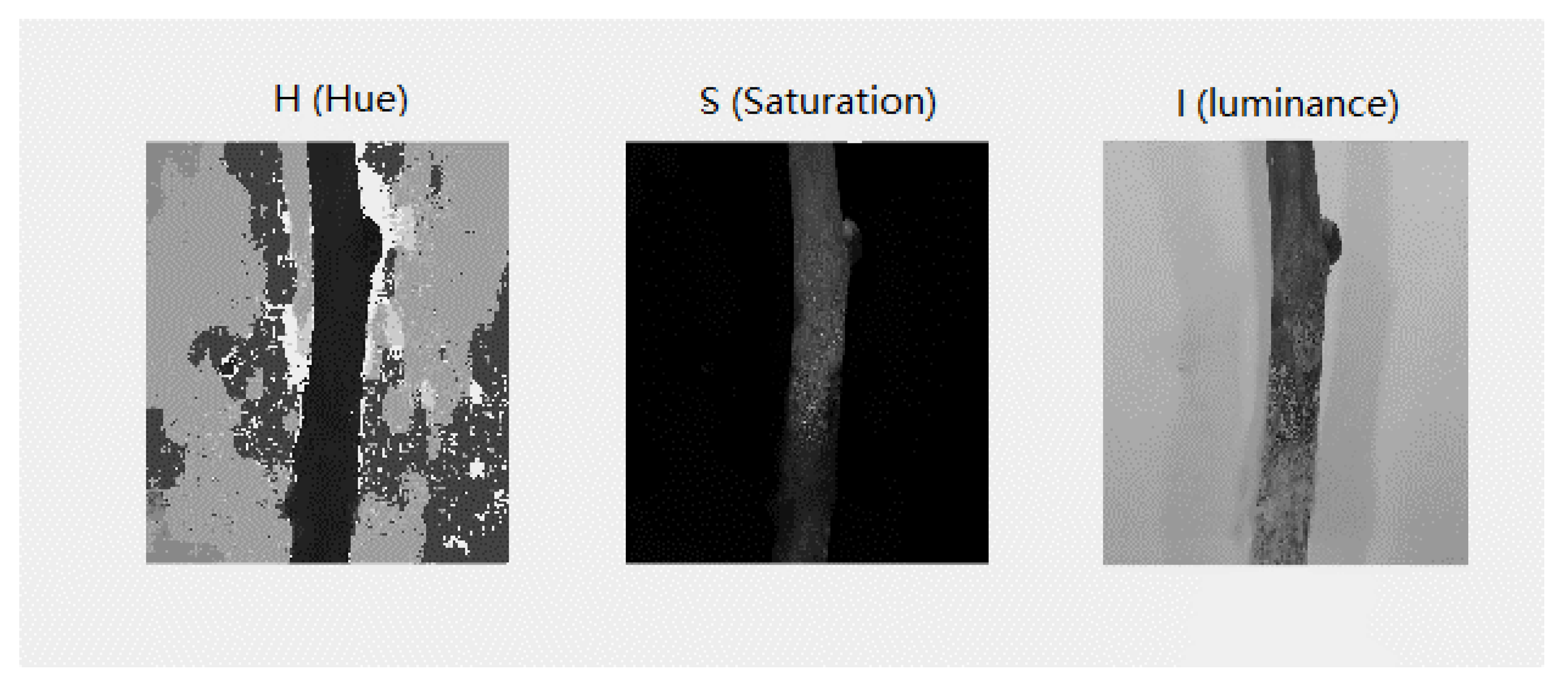 Agronomy 13 00106 g008 Agronomy 13 00106 g008