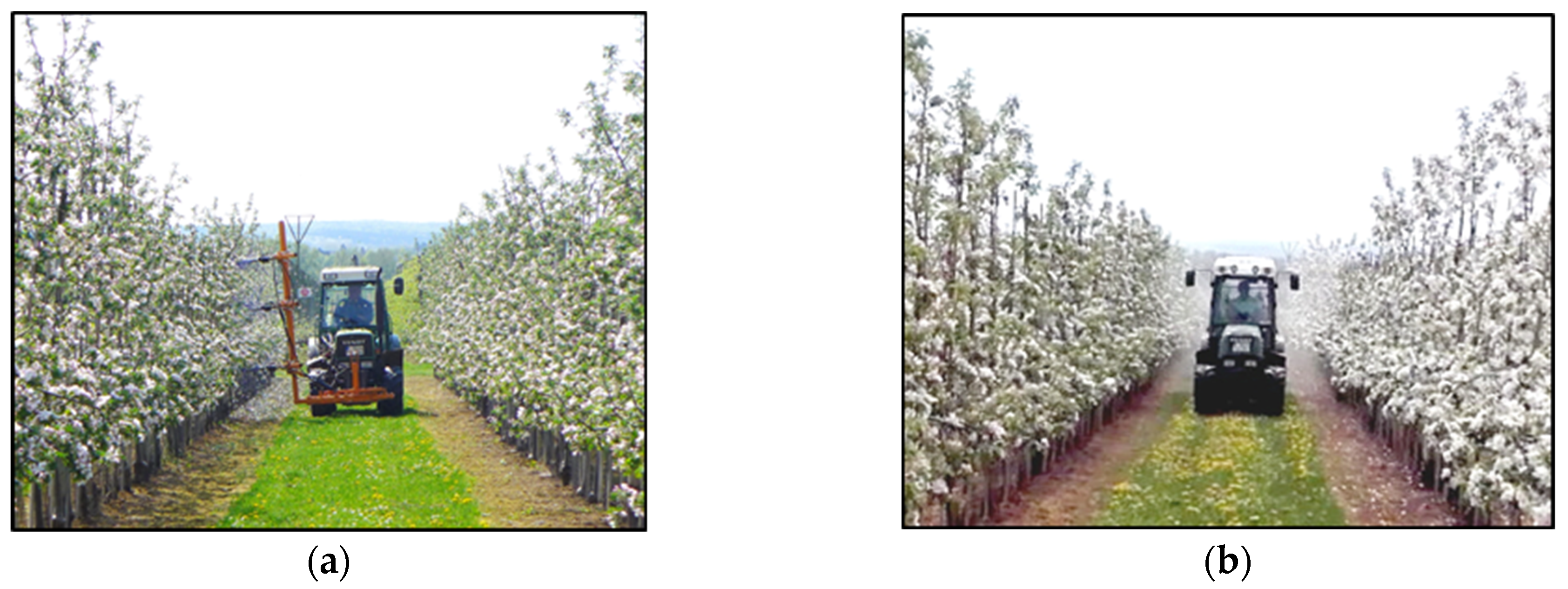 Agronomy 13 00112 g002