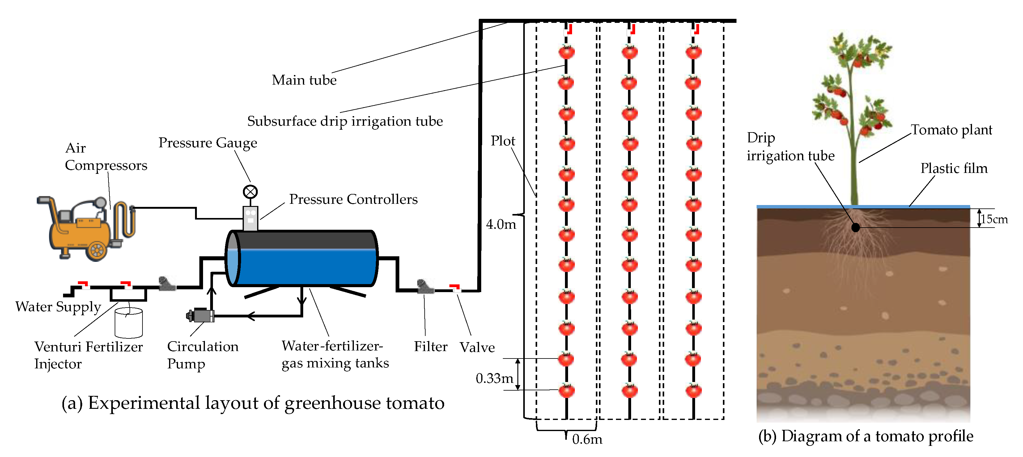 Agronomy 13 00116 g002