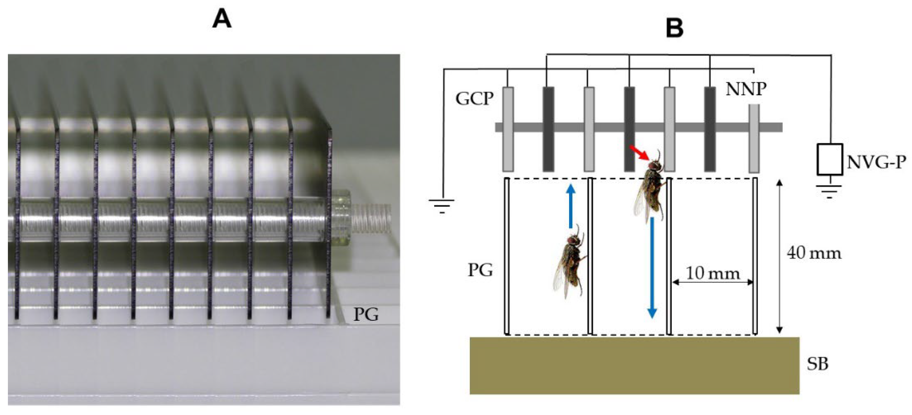 Agronomy 13 00125 g005