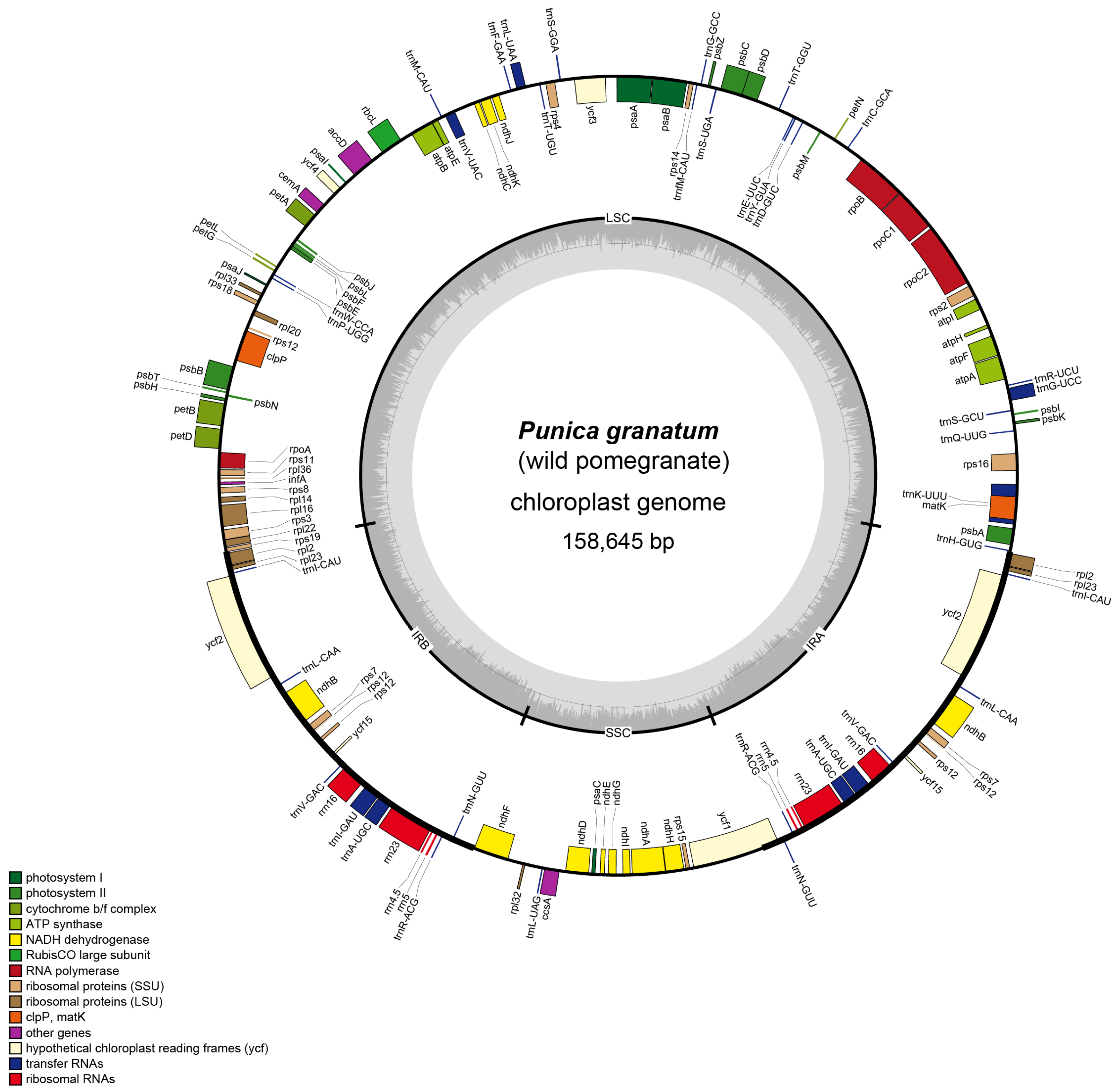 Agronomy 13 00126 g001 Agronomy 13 00126 g001