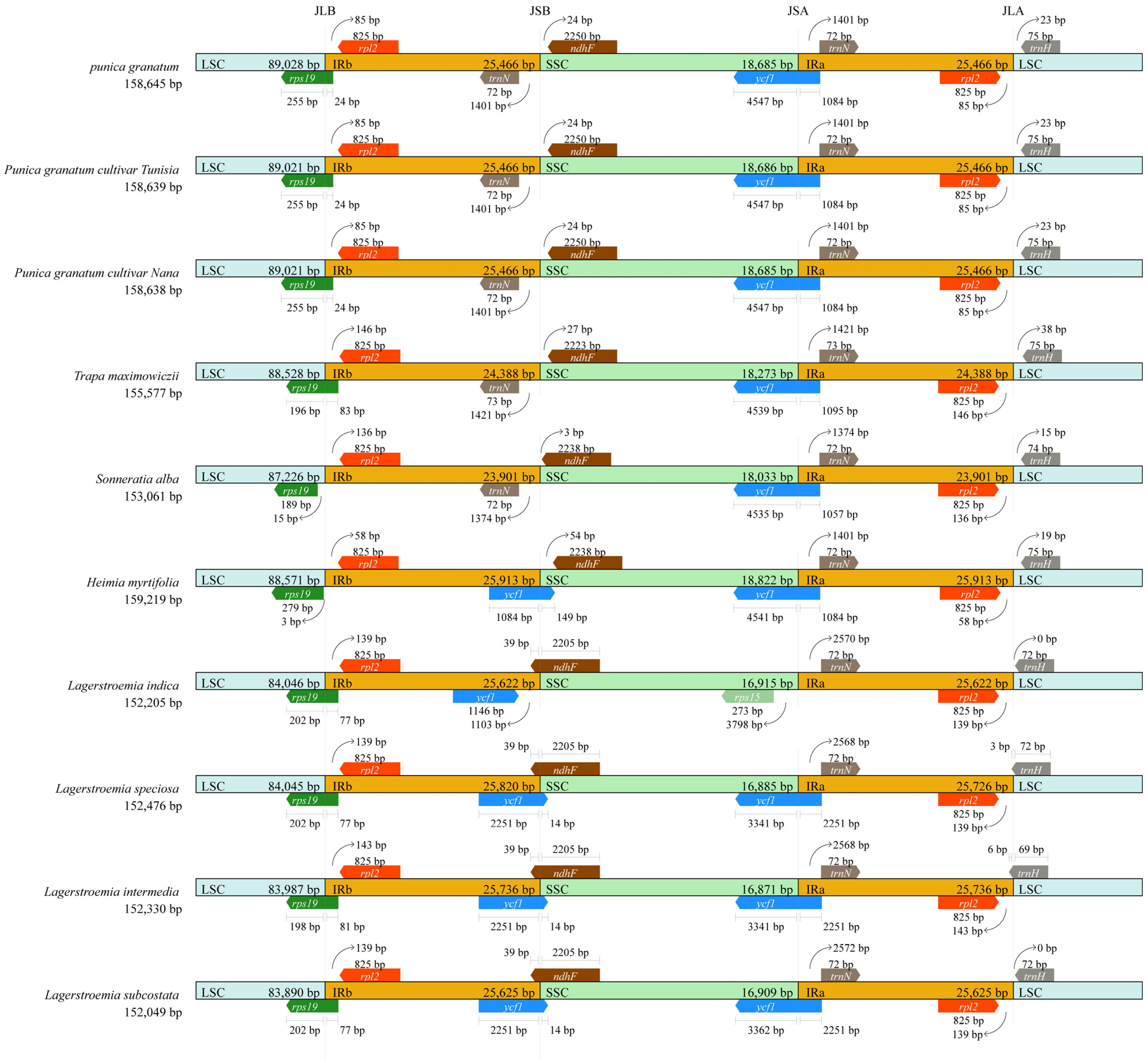 Agronomy 13 00126 g005 Agronomy 13 00126 g005