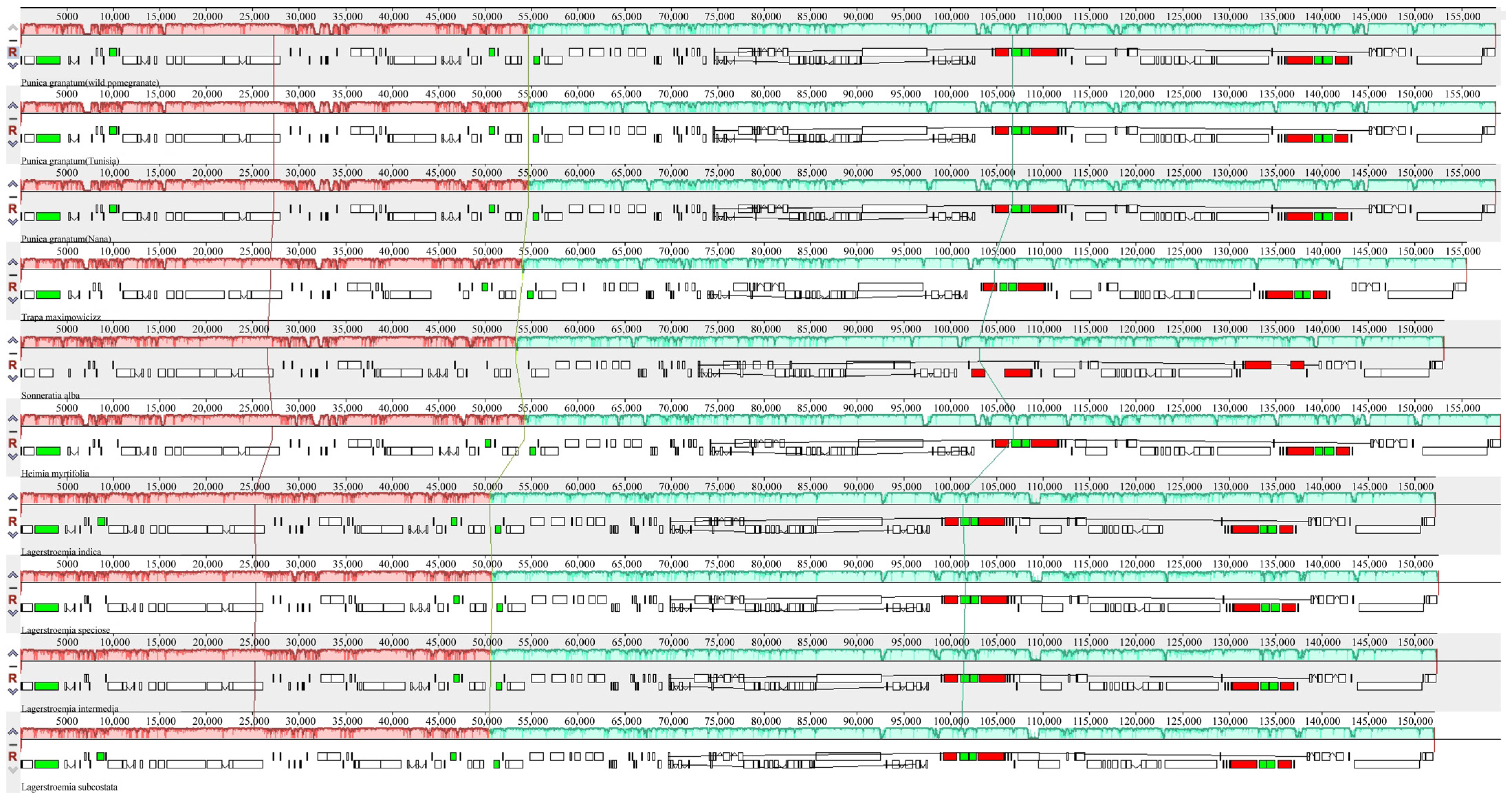 Agronomy 13 00126 g006 Agronomy 13 00126 g006