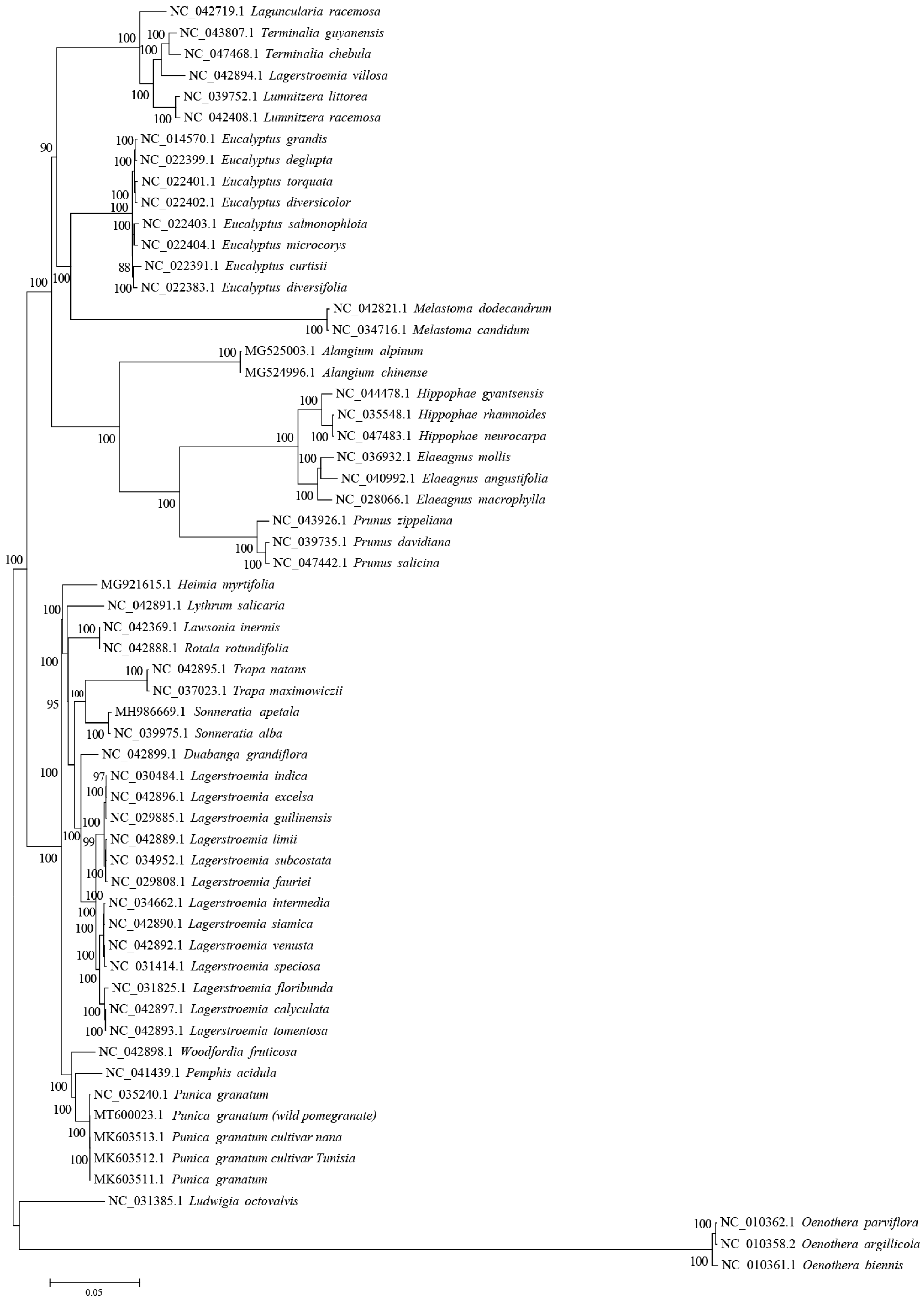 Agronomy 13 00126 g007 Agronomy 13 00126 g007