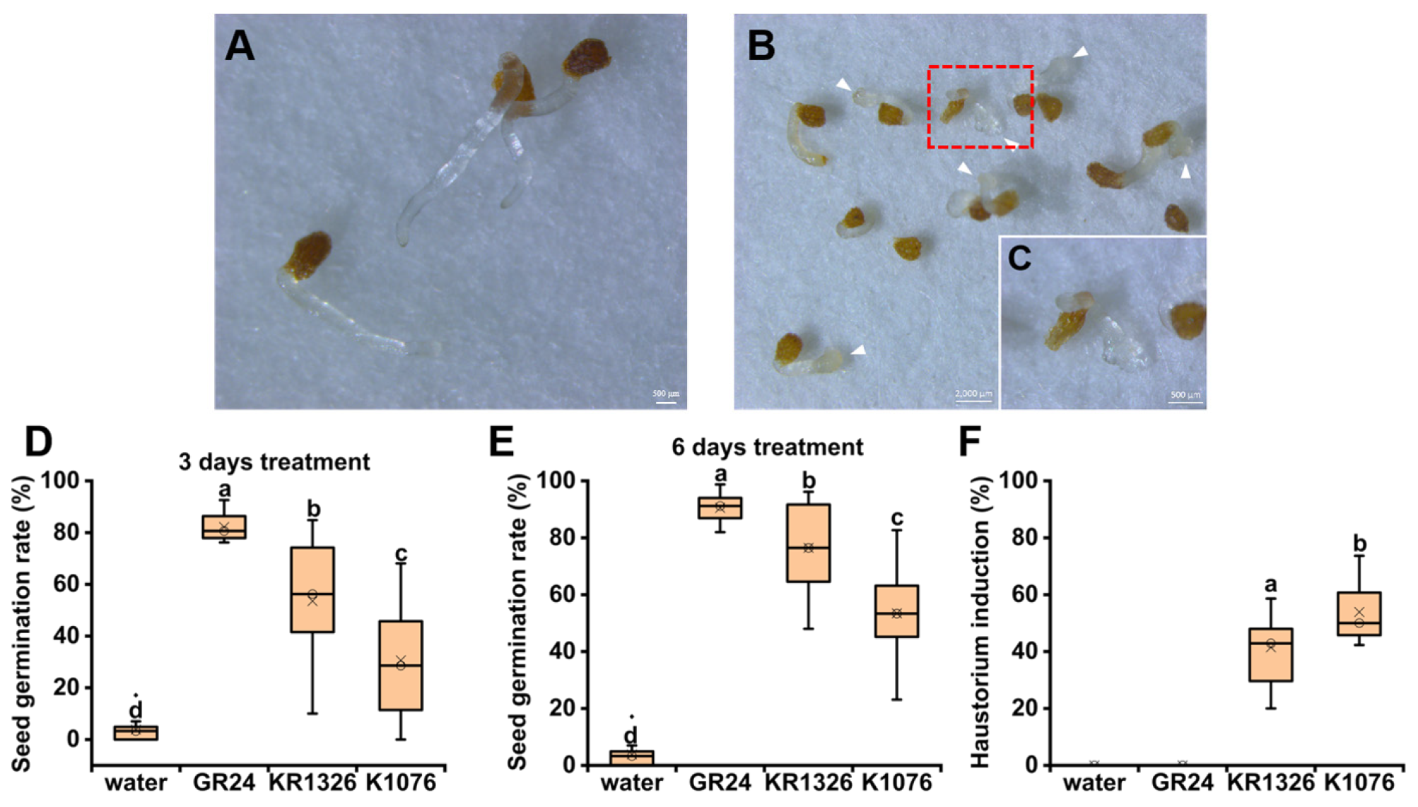 Agronomy 13 00128 g001