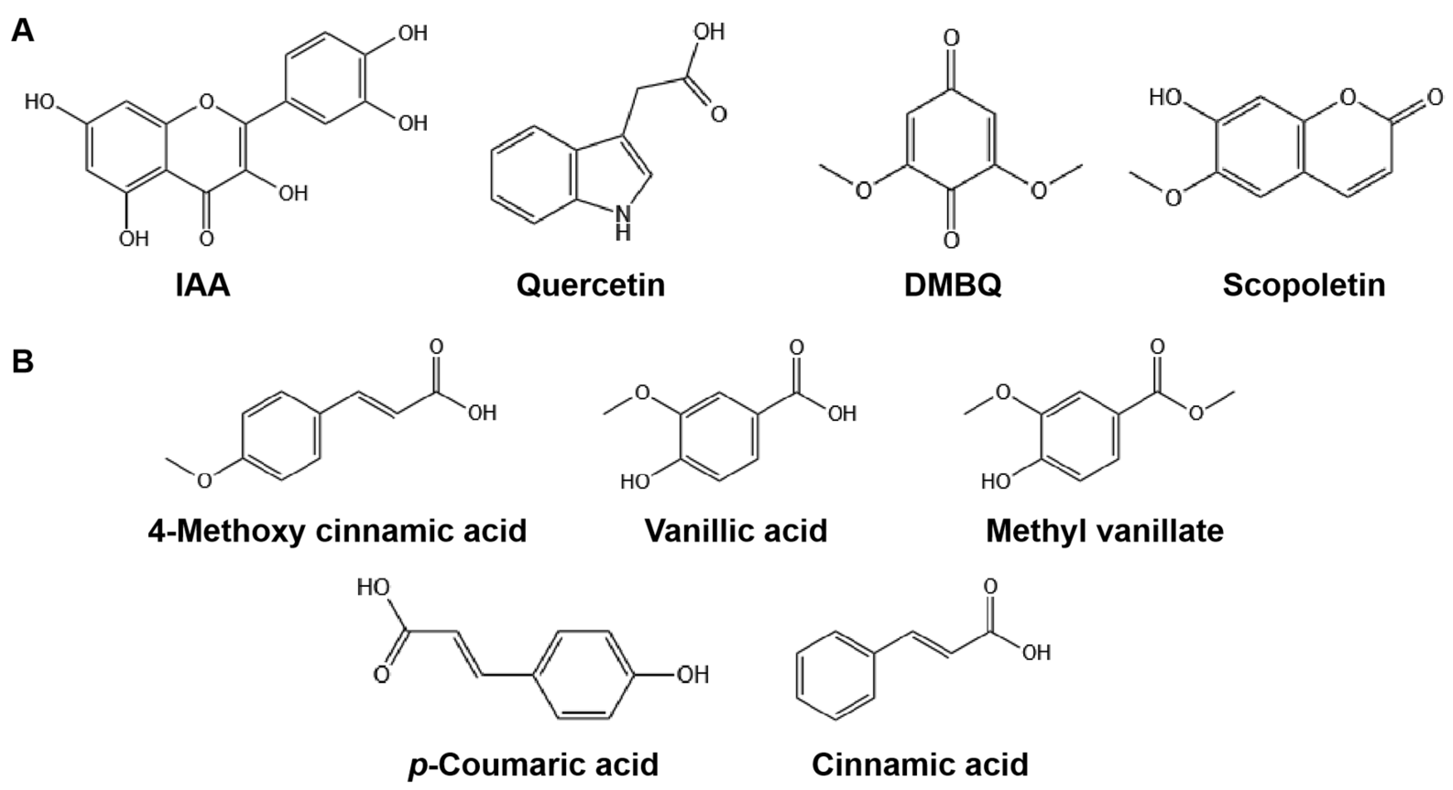 Agronomy 13 00128 g005