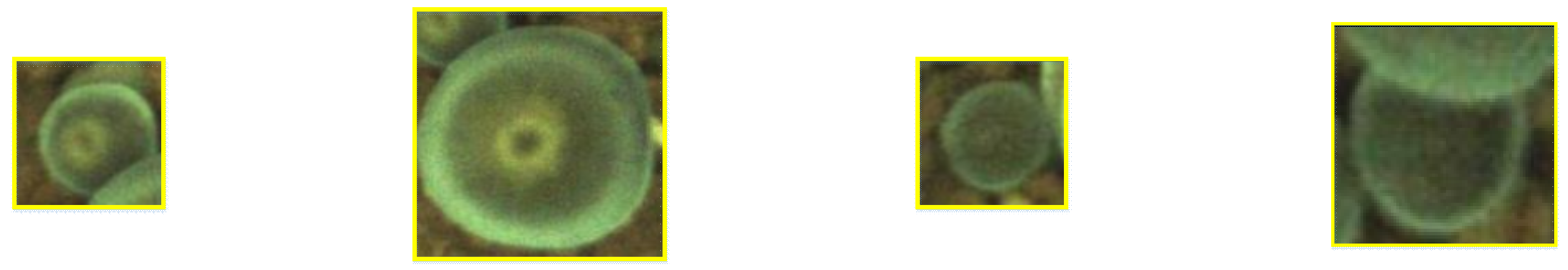 Agronomy 13 00134 g004 Agronomy 13 00134 g004