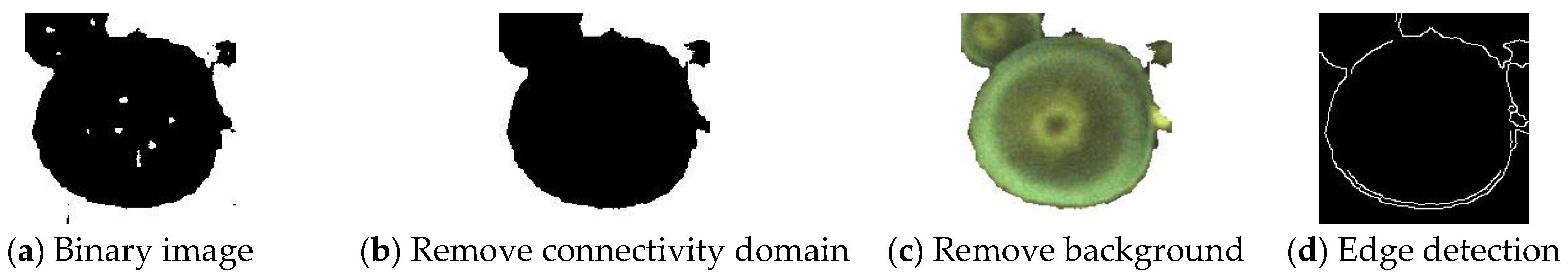 Agronomy 13 00134 g006 Agronomy 13 00134 g006