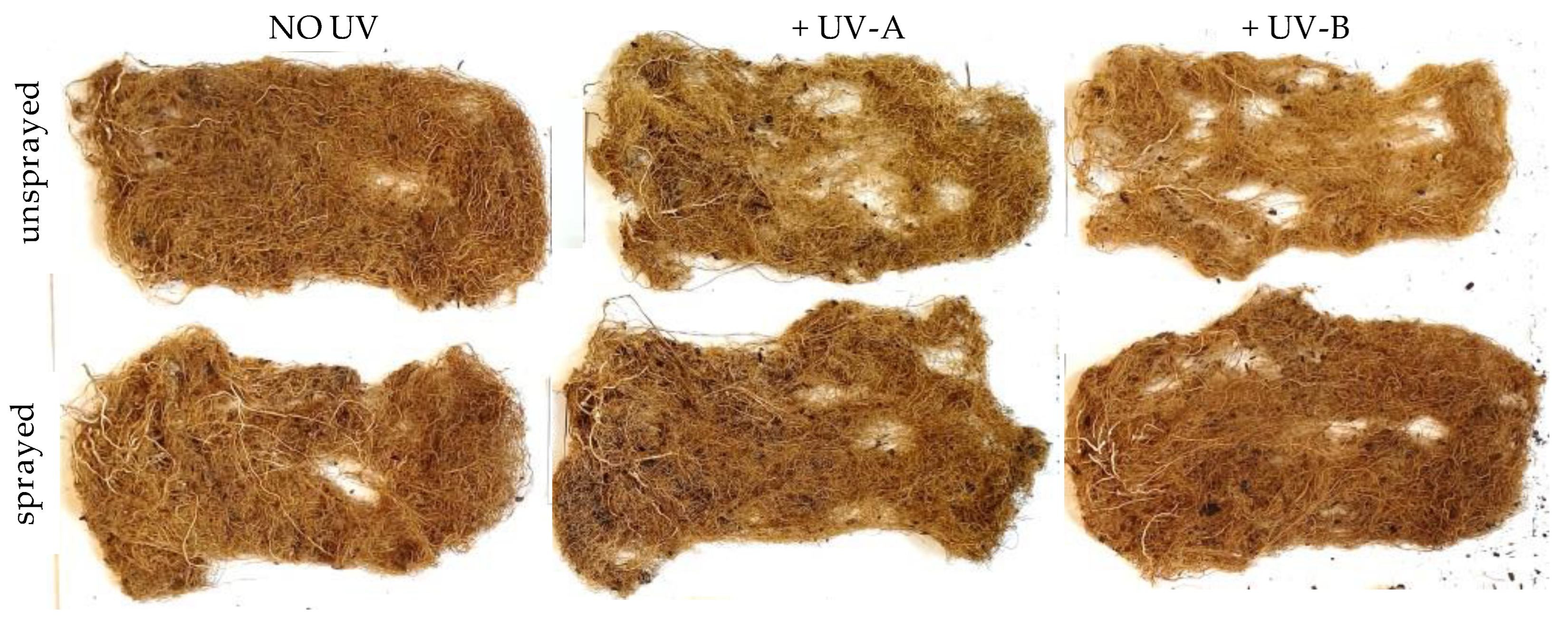 Agronomy 13 00138 g006