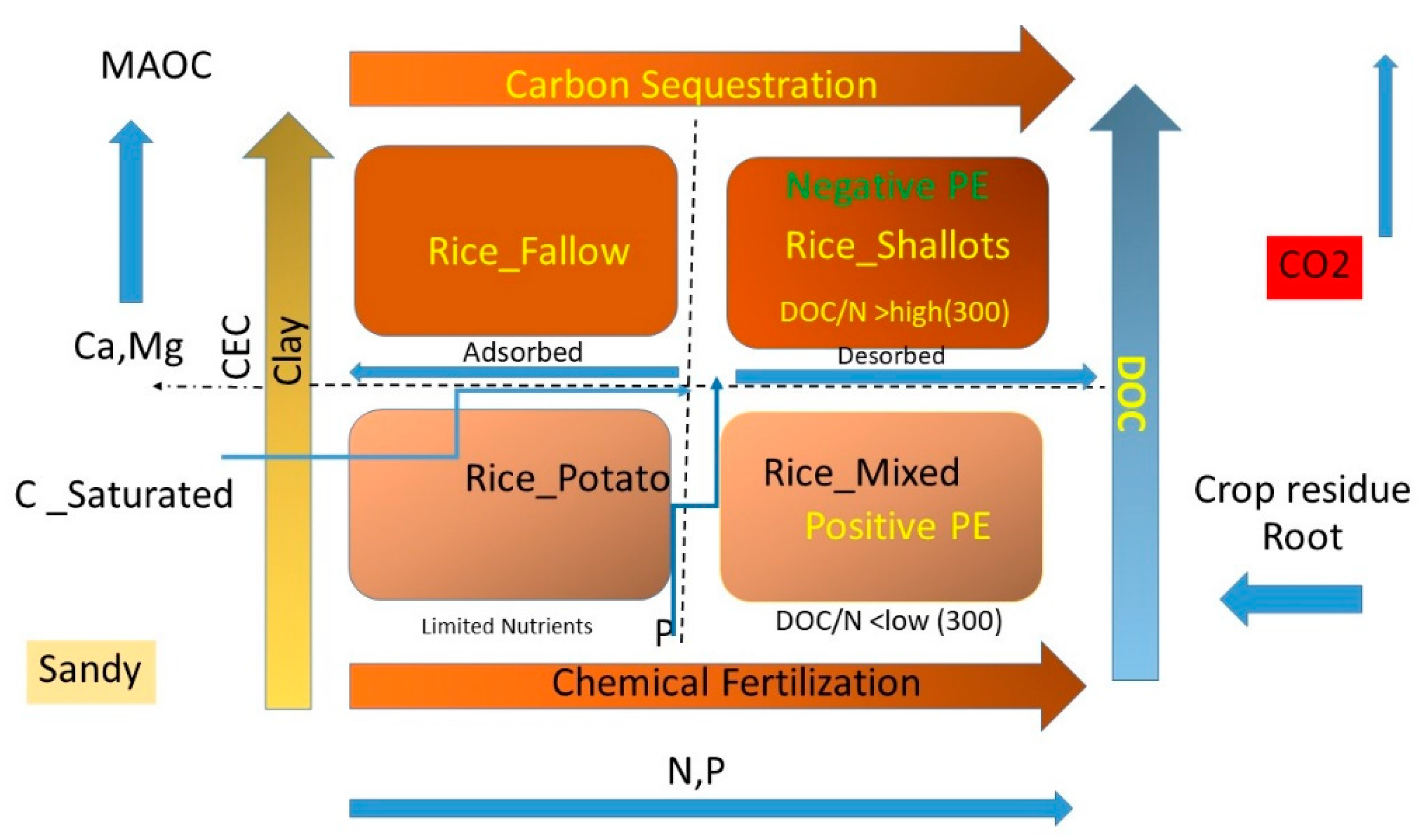Agronomy 13 00142 g010