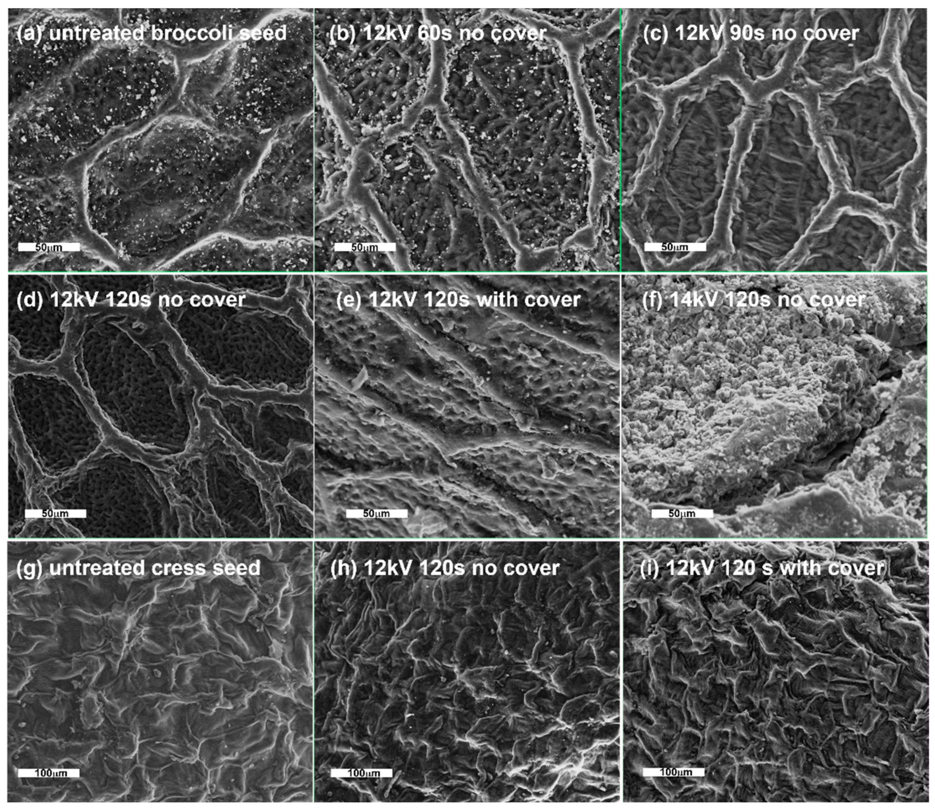 Agronomy 13 00150 g005 Agronomy 13 00150 g005