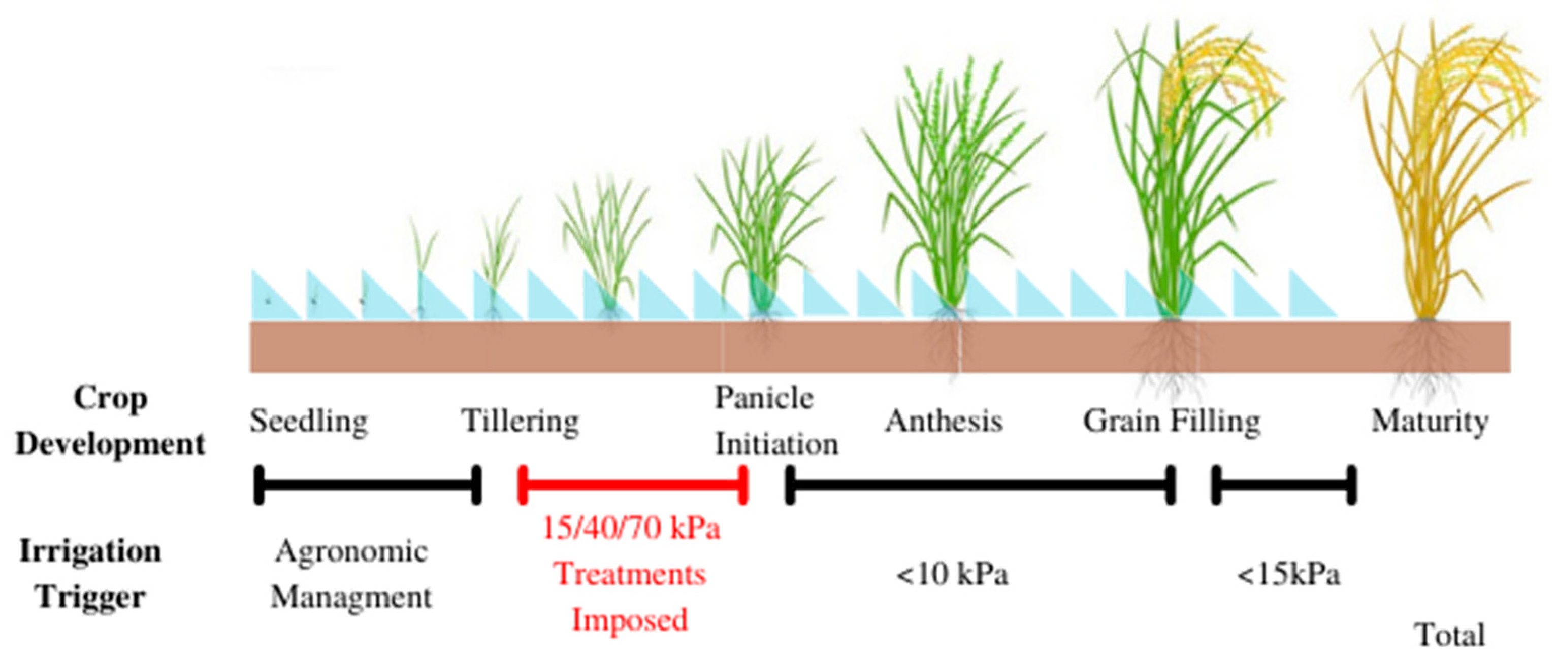 Agronomy 13 00168 g003