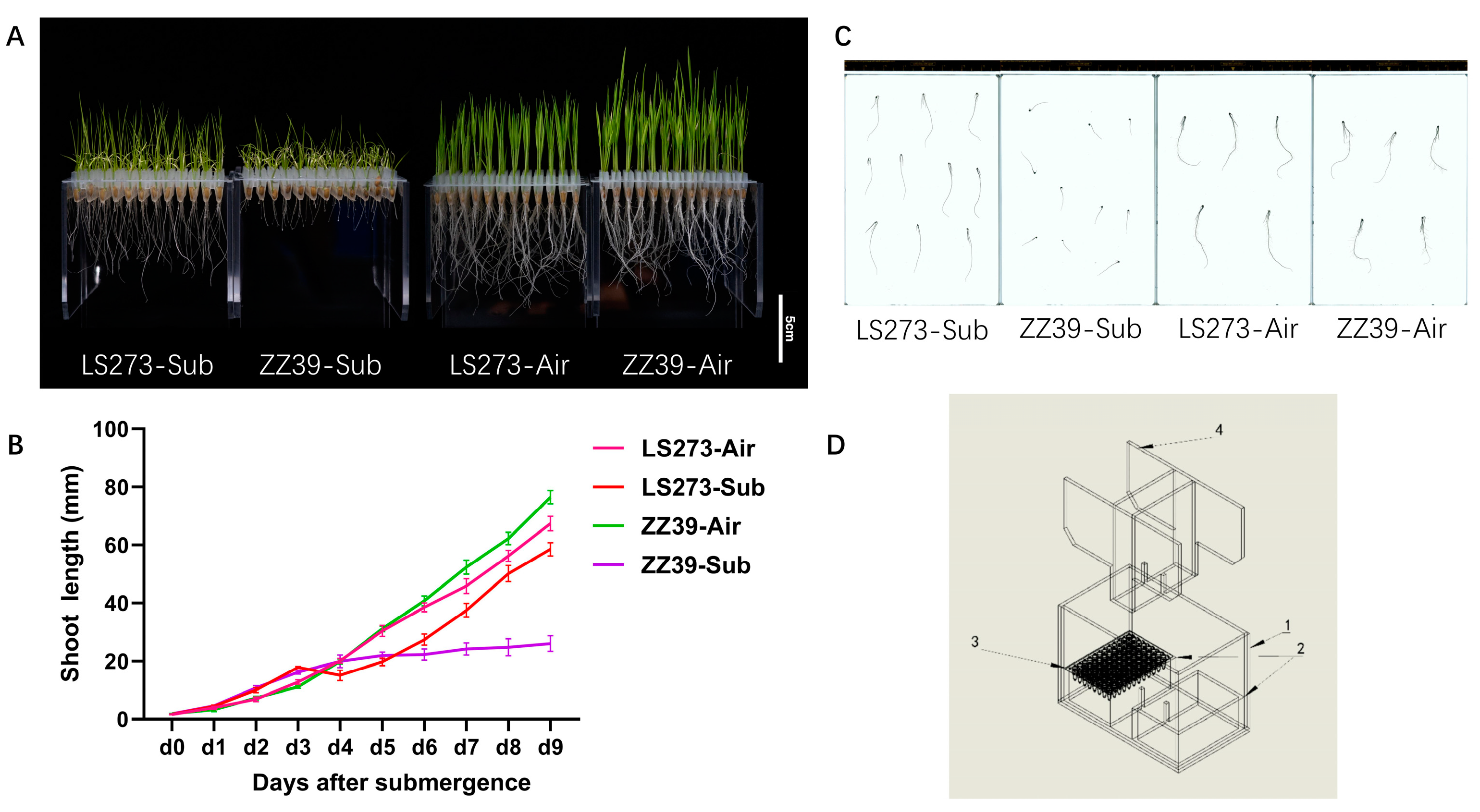 Agronomy 13 00171 g001